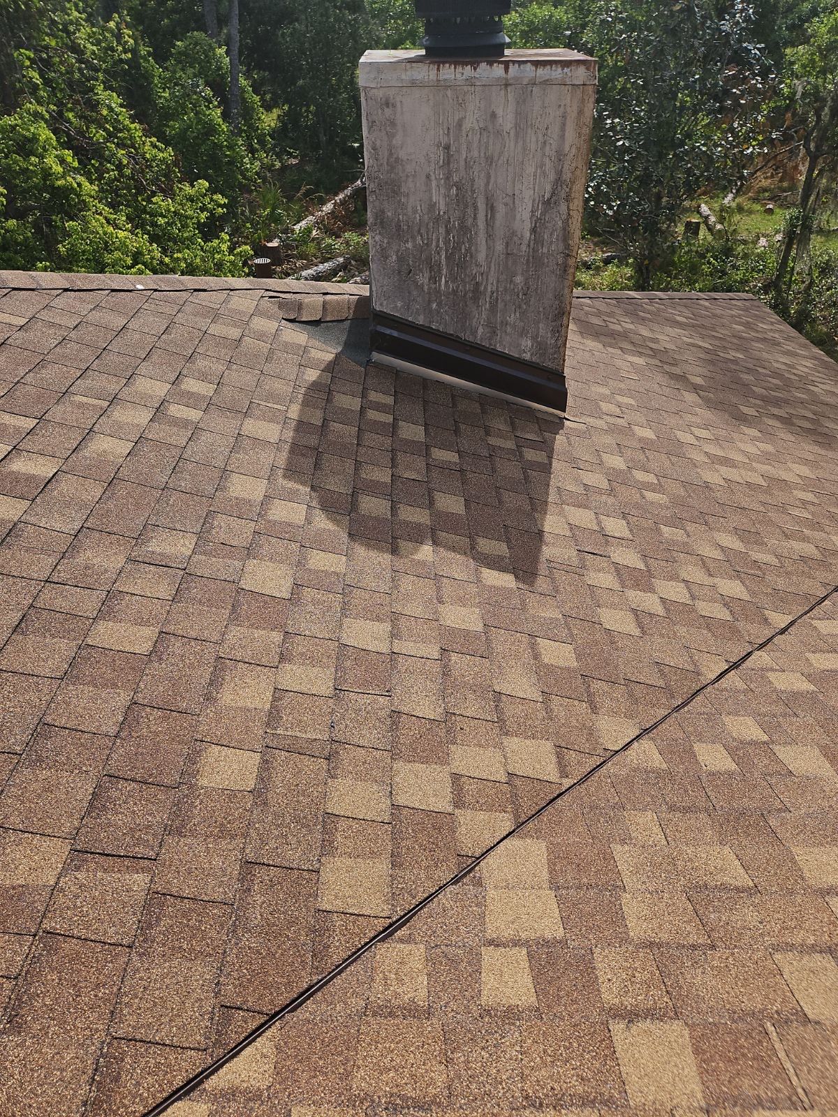Residential ReRoof and Structural Repair Following Tree Damage in Oviedo by Tip Top Roofing Co., Inc.