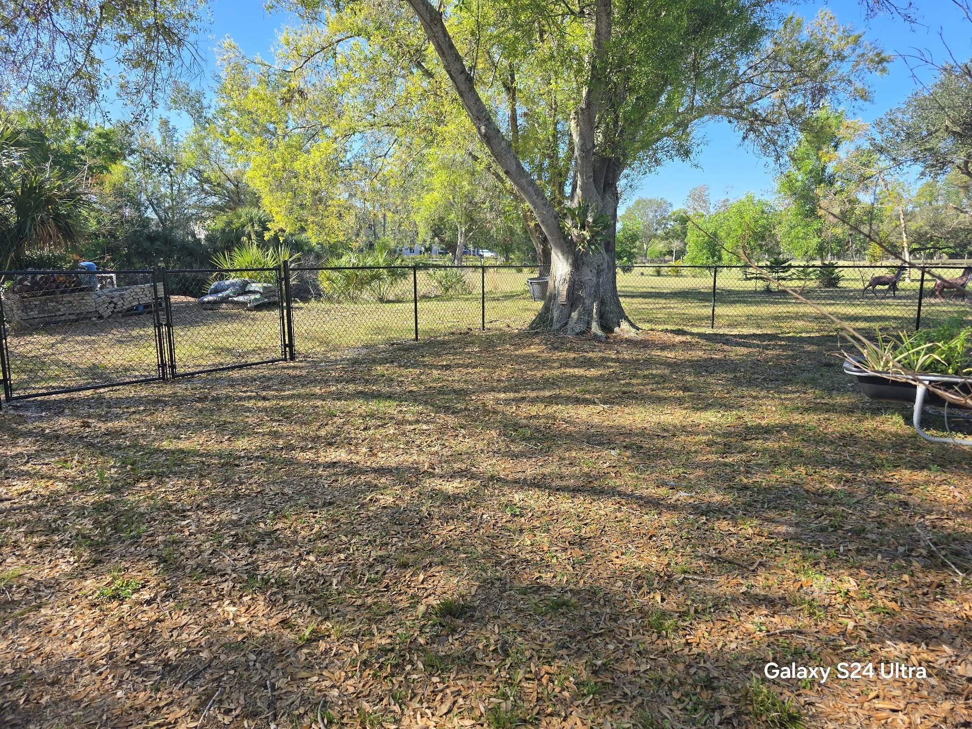 Black Chain Link Fence Installation in Port Charlotte by True Fence LLC