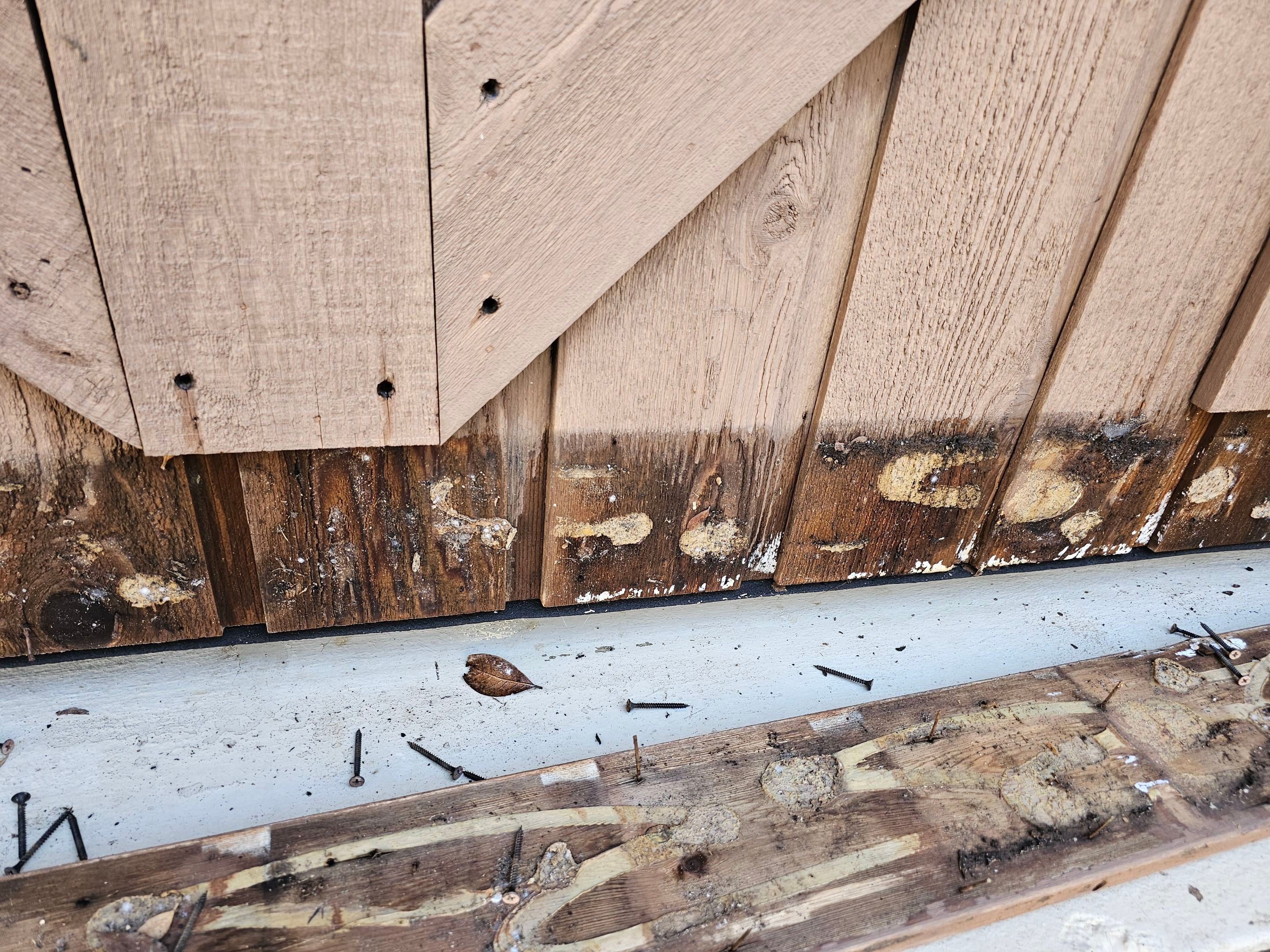 Exterior & interior paint, Garage door repairs, roof replacement & leak repairs by EL-GC LLC 