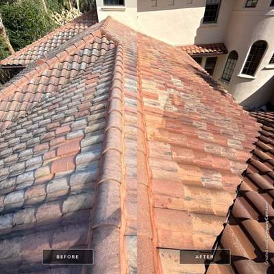 Tile Roof Cleaning