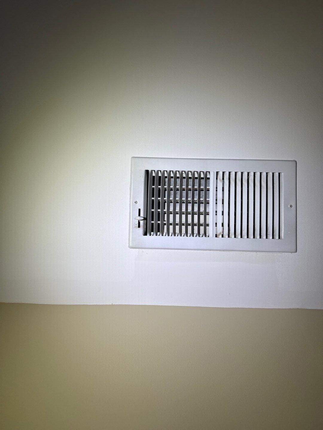 Mold in Air Ducts Remediation by Healthy Home Solutions