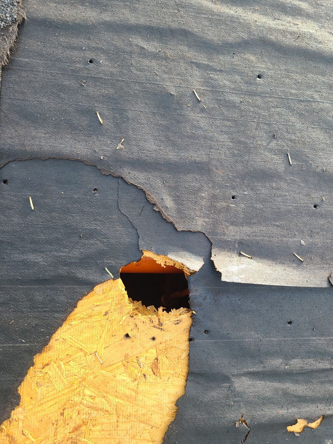 Manassas Landmark Pro Roof in Max Def Charcoal Black by RM Banning, Inc.