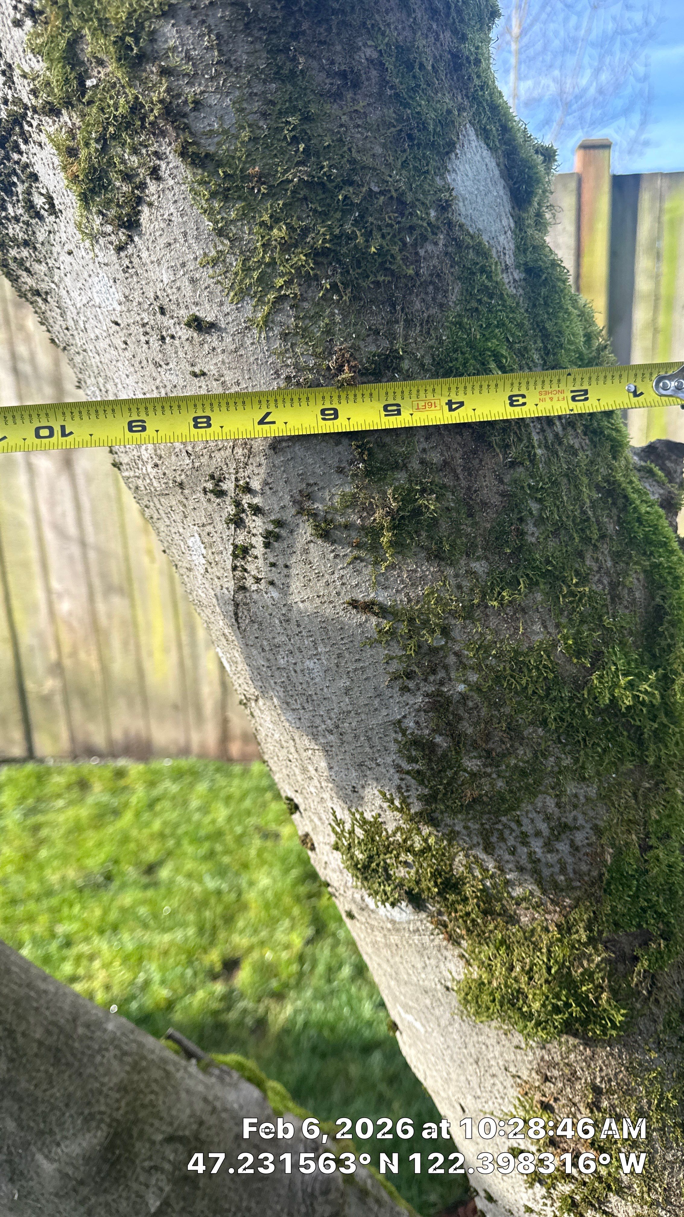 Arborist Development Report for Proposed Site Improvements – Tacoma, WA by Sound Tree Care LLC