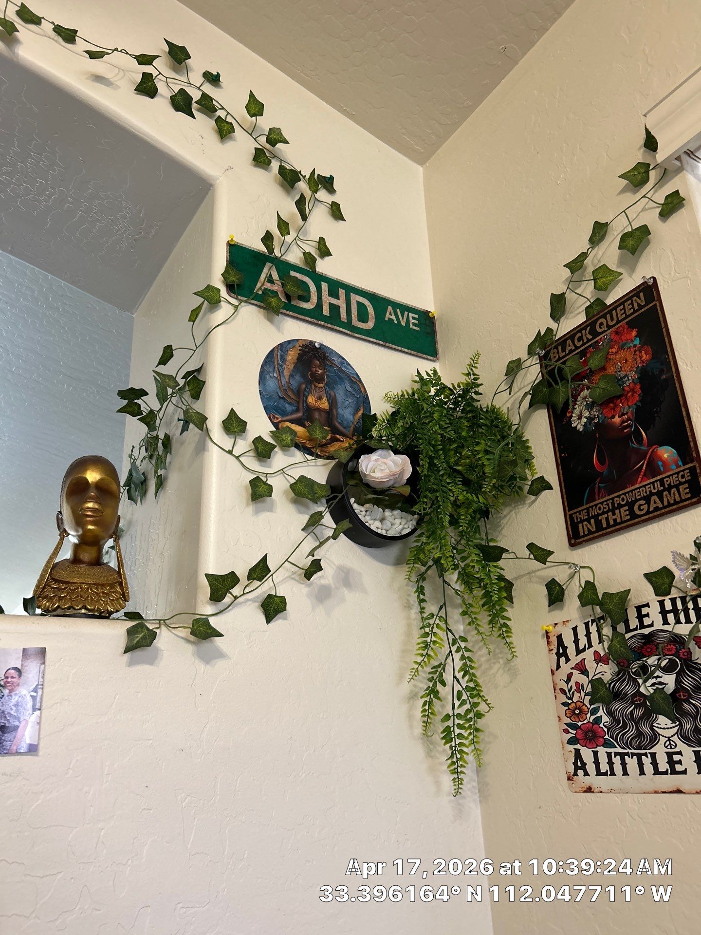 Interior Decorative Wall and Artificial Vine Installation in Phoenix by CompanyCam Sales Demo