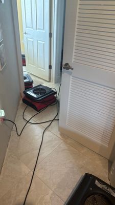 Black Mold Removal — Fort Myers, FL
