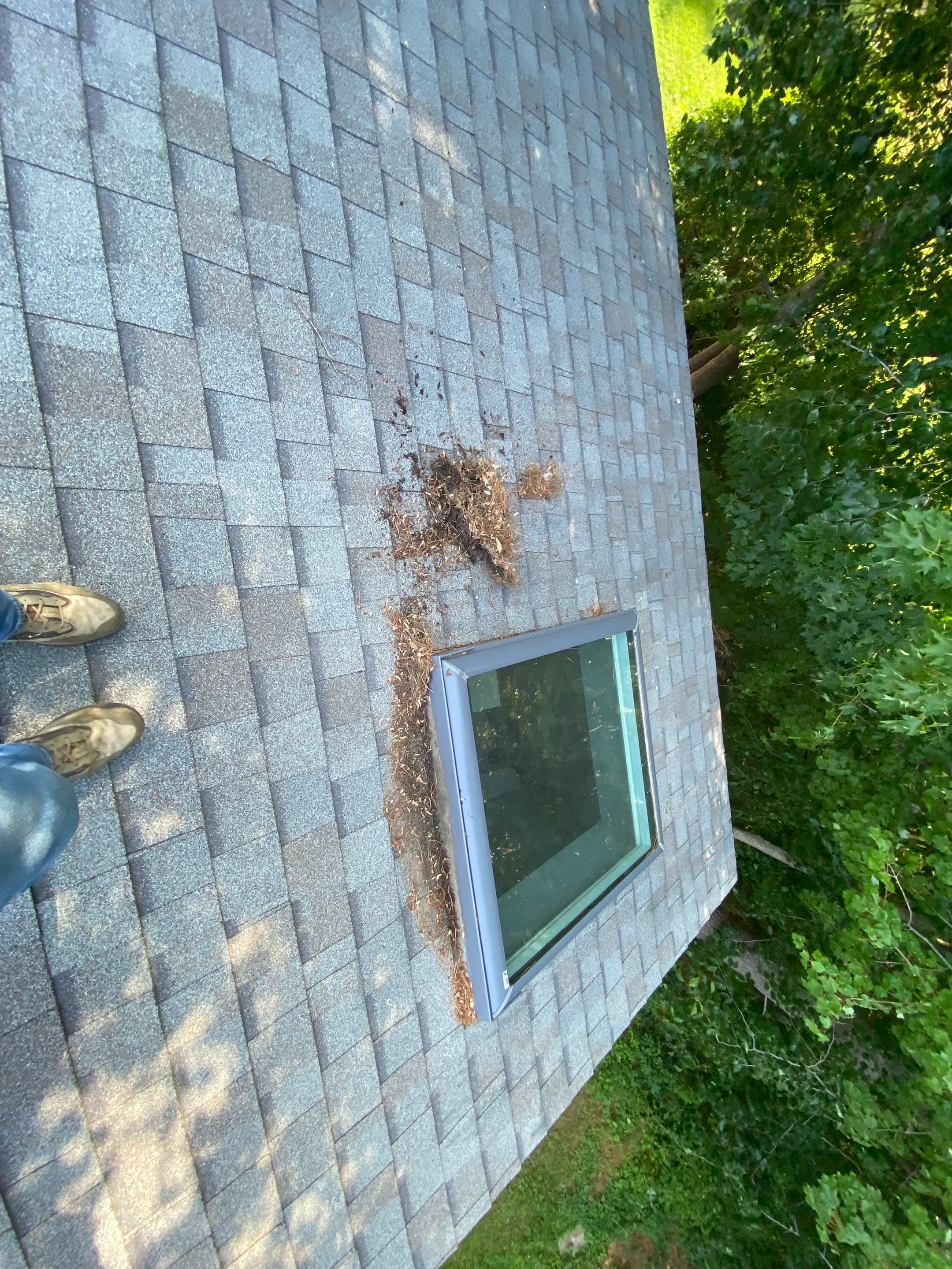 Residential Roofing Installation using Owens Corning TruDefinition by Sensible Home Solutions