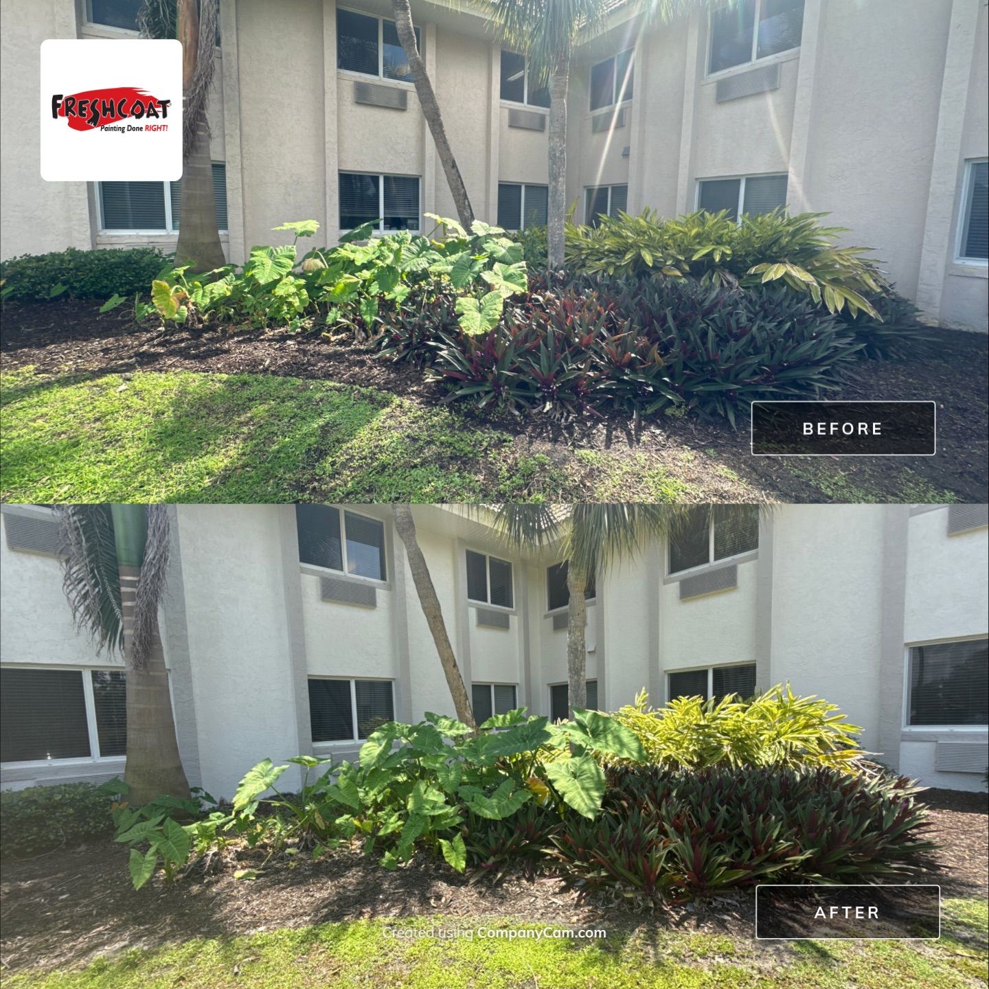 Life Car Center of Punta Gorda - Commercial Exterior by Fresh Coat Painters