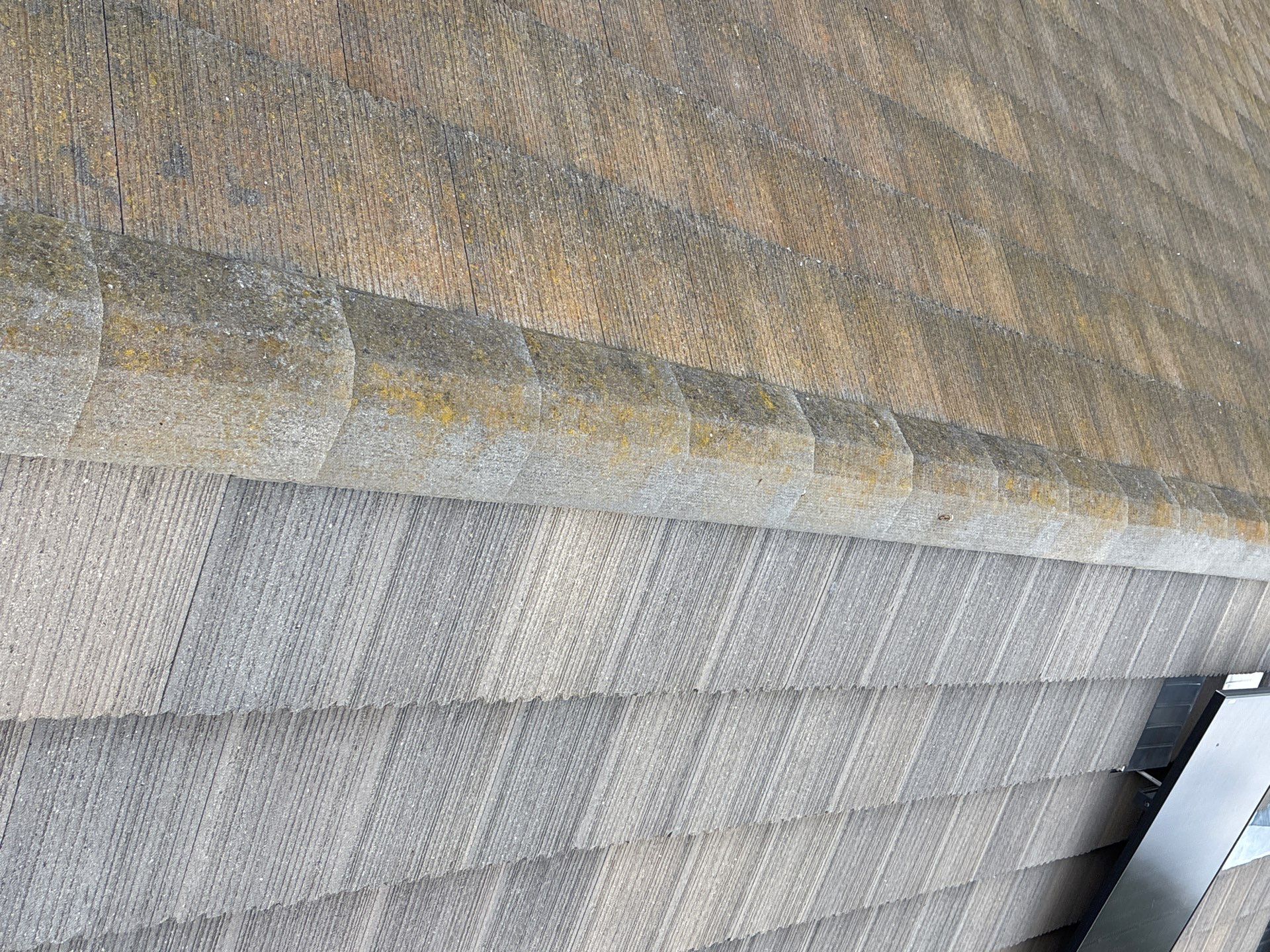 Moss Removal by Top Elevation