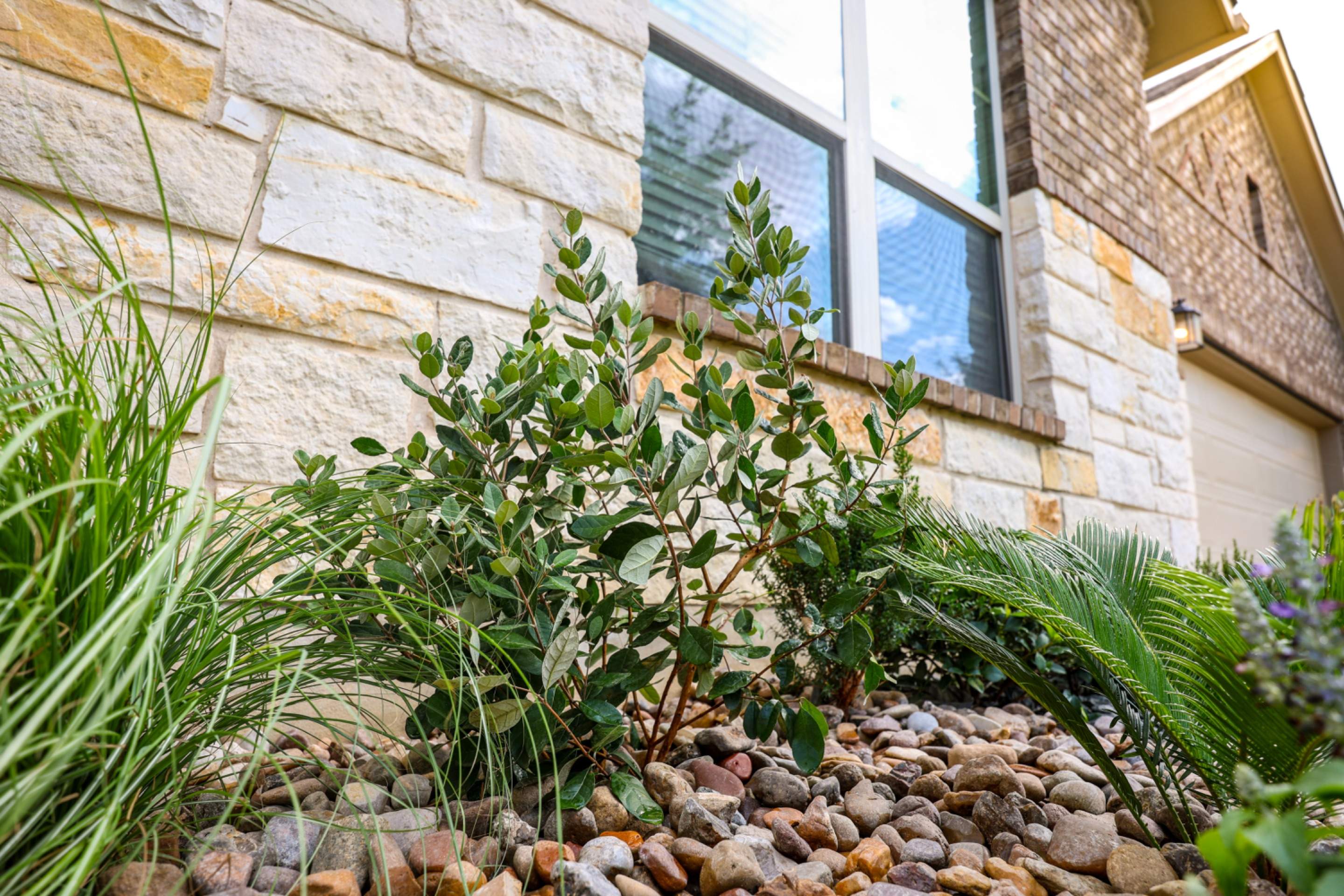 Wortham Oaks - San Antonio, TX by Hole In One Lawns, LLC