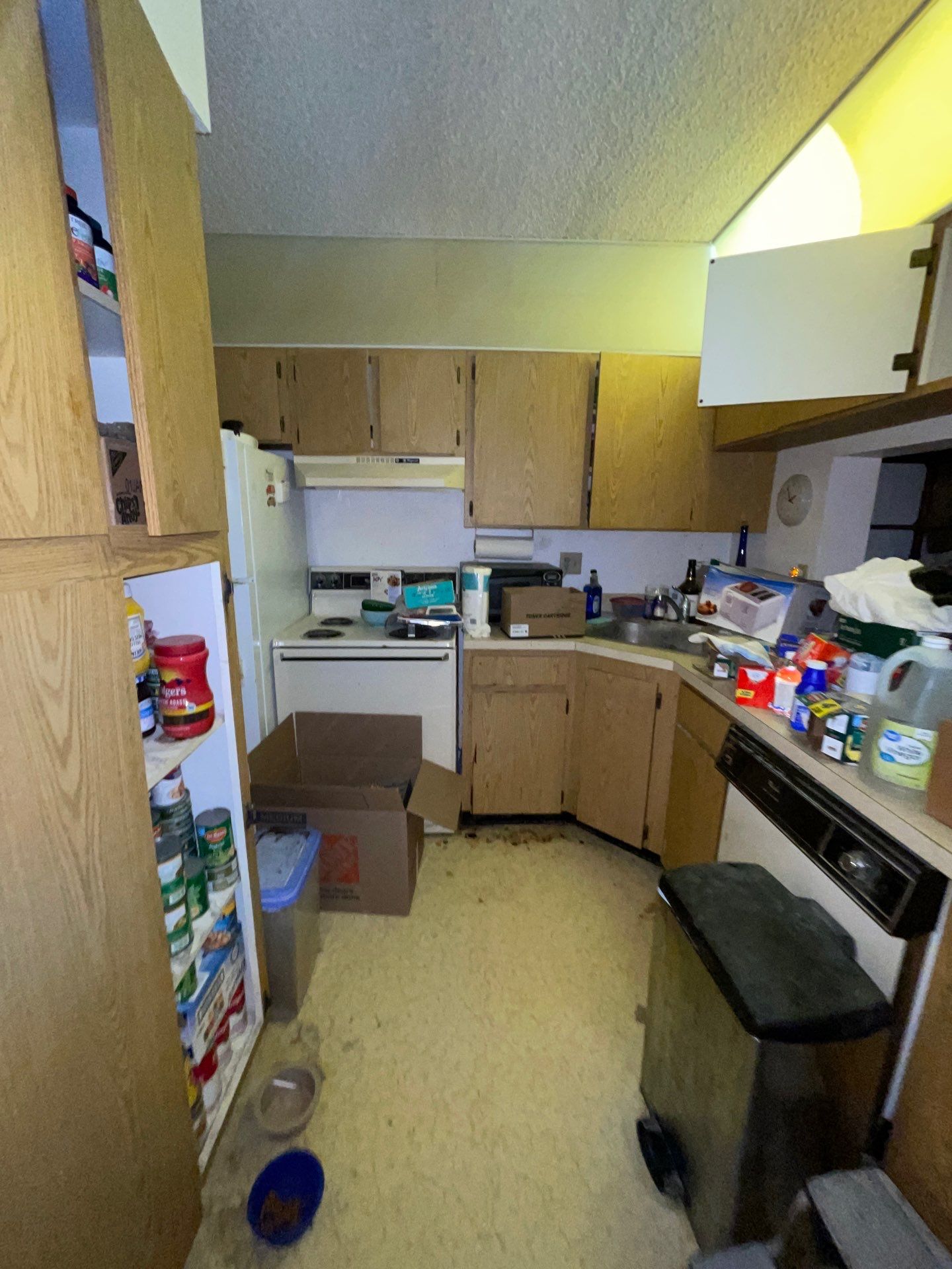 Horder house with Mold and Bacterial Contamination Issues  by Bay Coast Restoration 