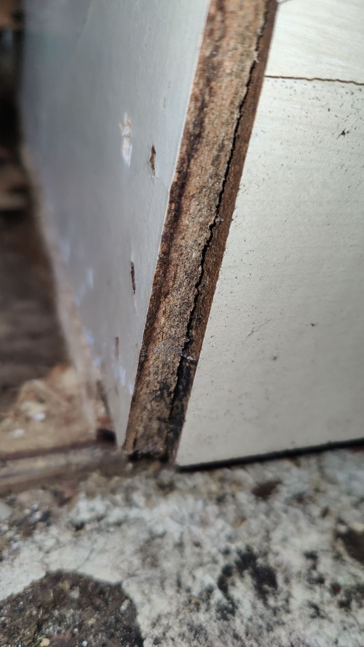 Mold Damage by Accountable Home Services