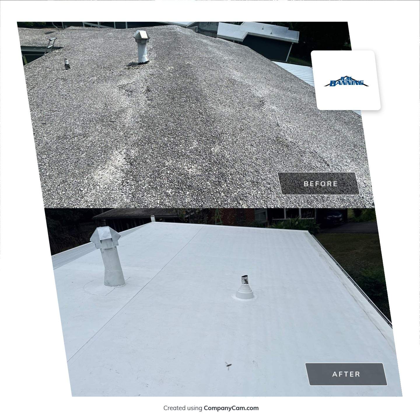 Falls Church :  TPO by RM Banning, Inc.