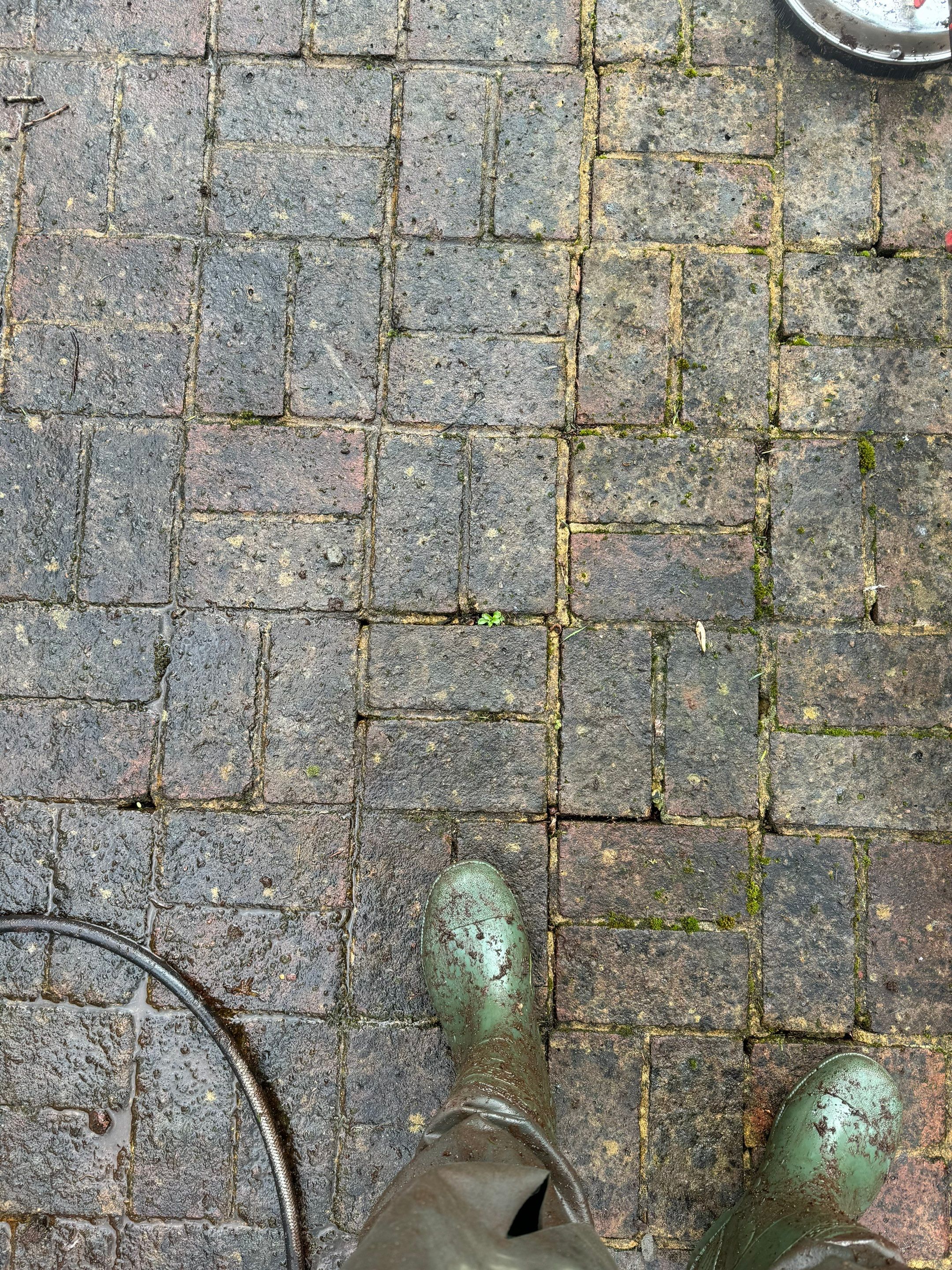 Roof and Patio Cleaning using Honda 15lpm Low Pressure Washing Machine by Ges Exterior Cleaning ltd