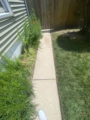 Residential Exterior Cleaning