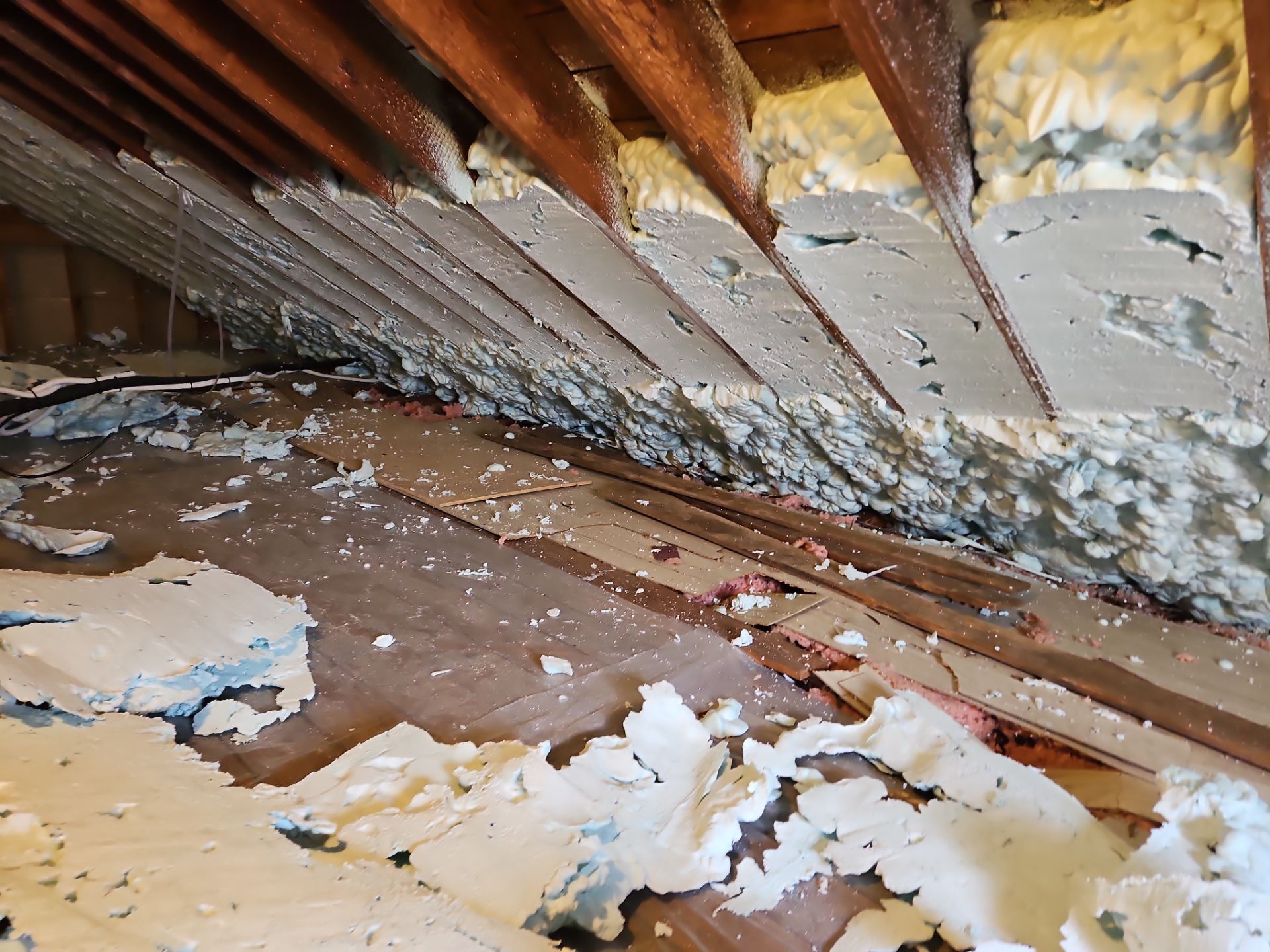 Project in Alexandria, VA by Founders Insulation