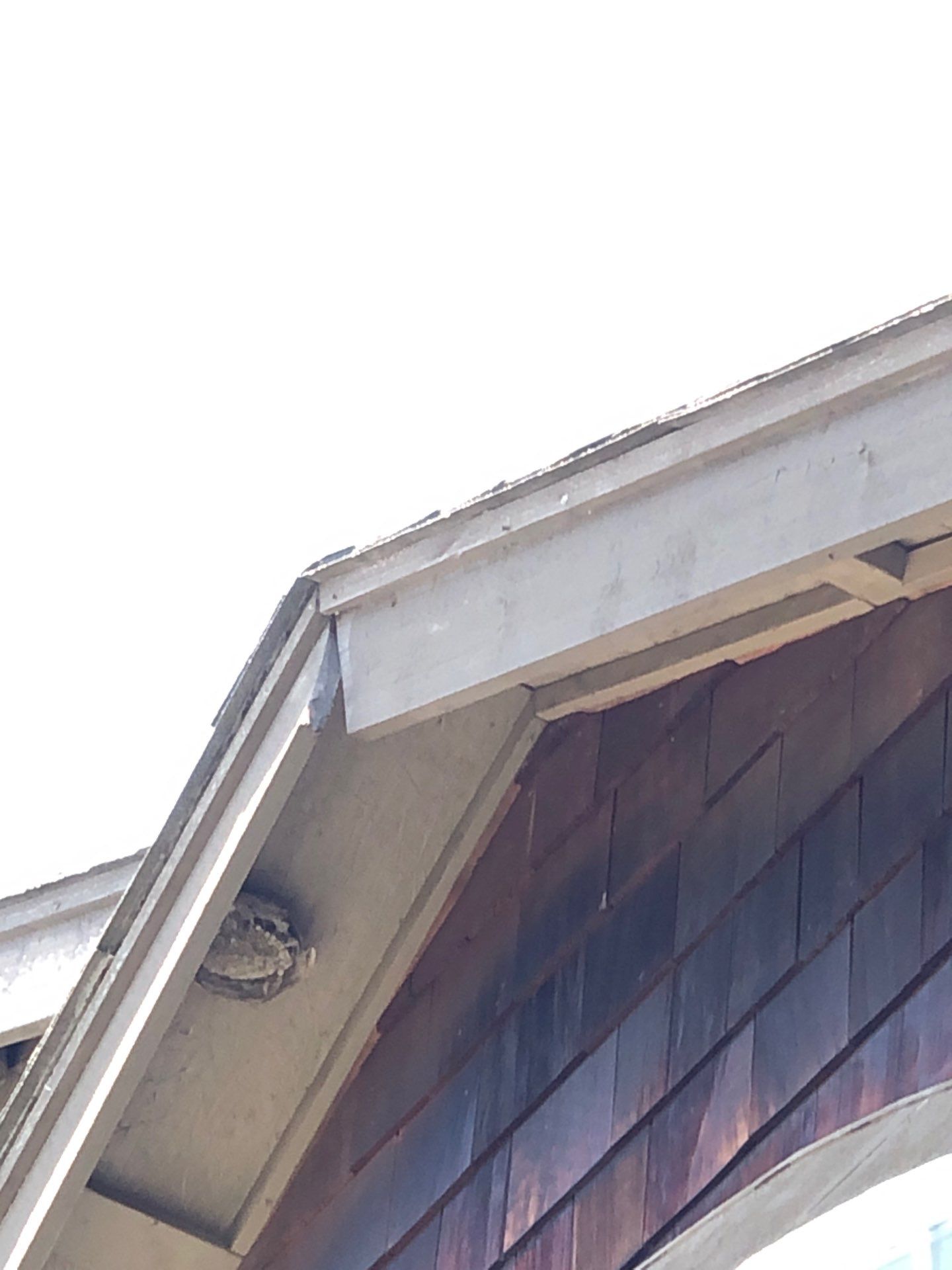 Project in Bellingham by Peaks and Valleys Construction