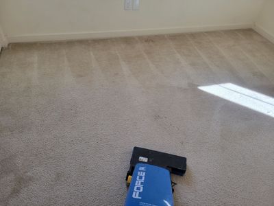 Carpet Cleaning & Stain Removal