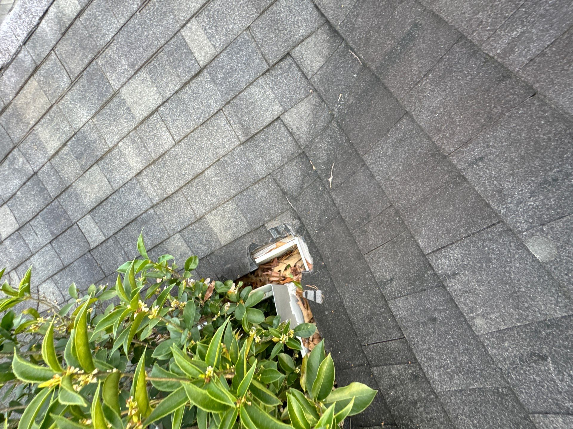 none by Emergency Roofing Solutions