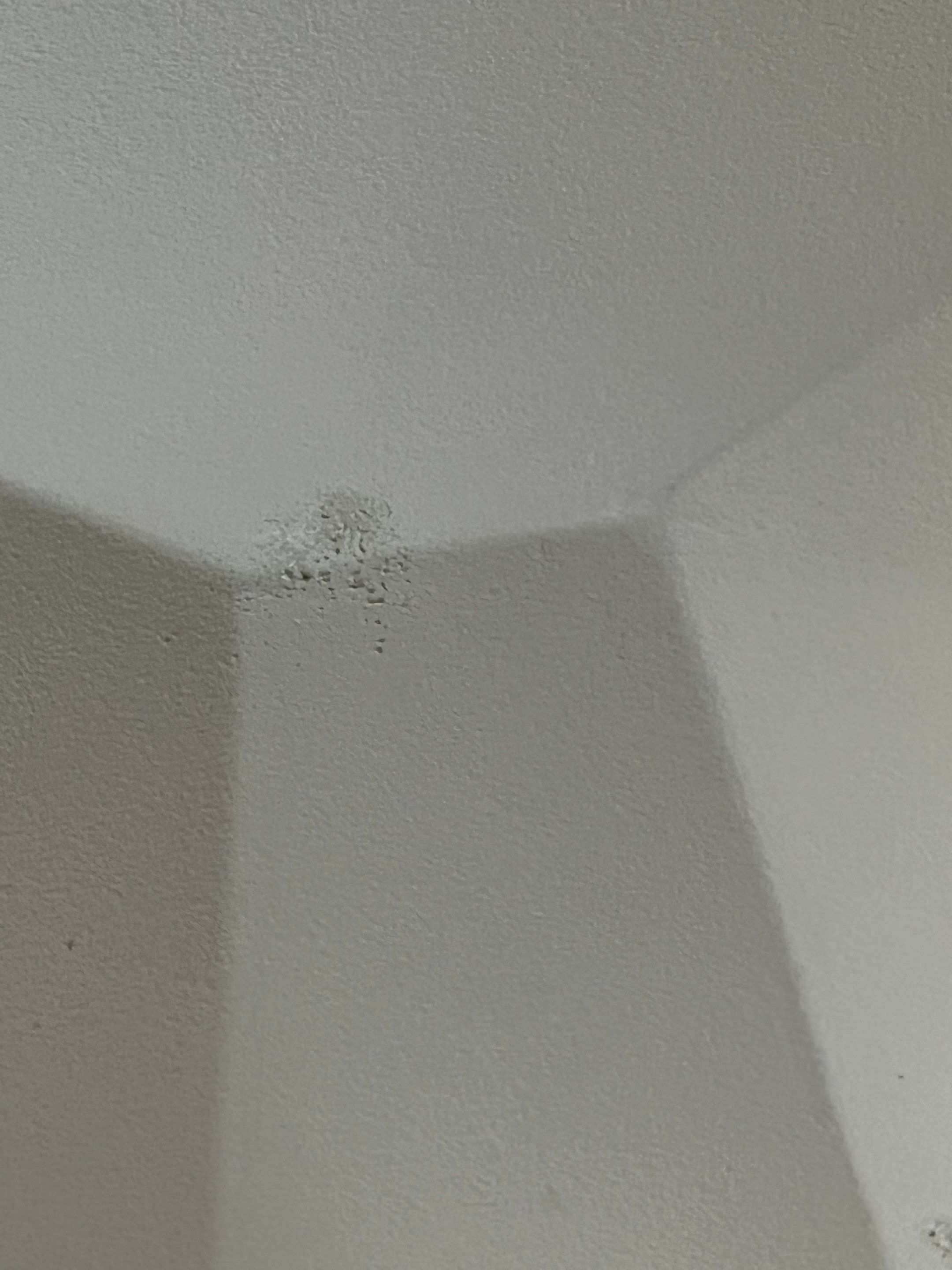 Project in Allen  by Zeus Exteriors