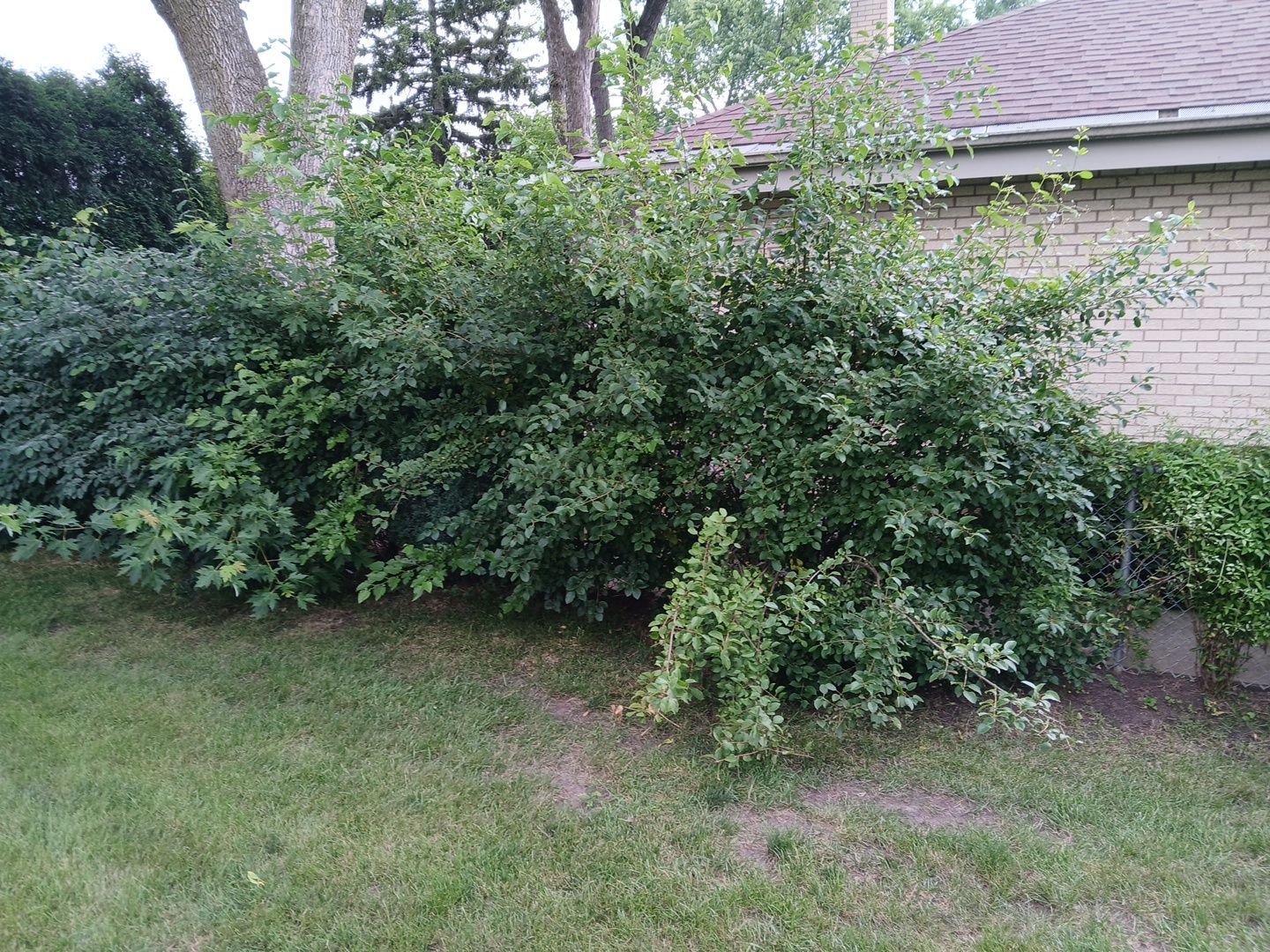 Andrew L. - Arlington Heights, IL by A&N