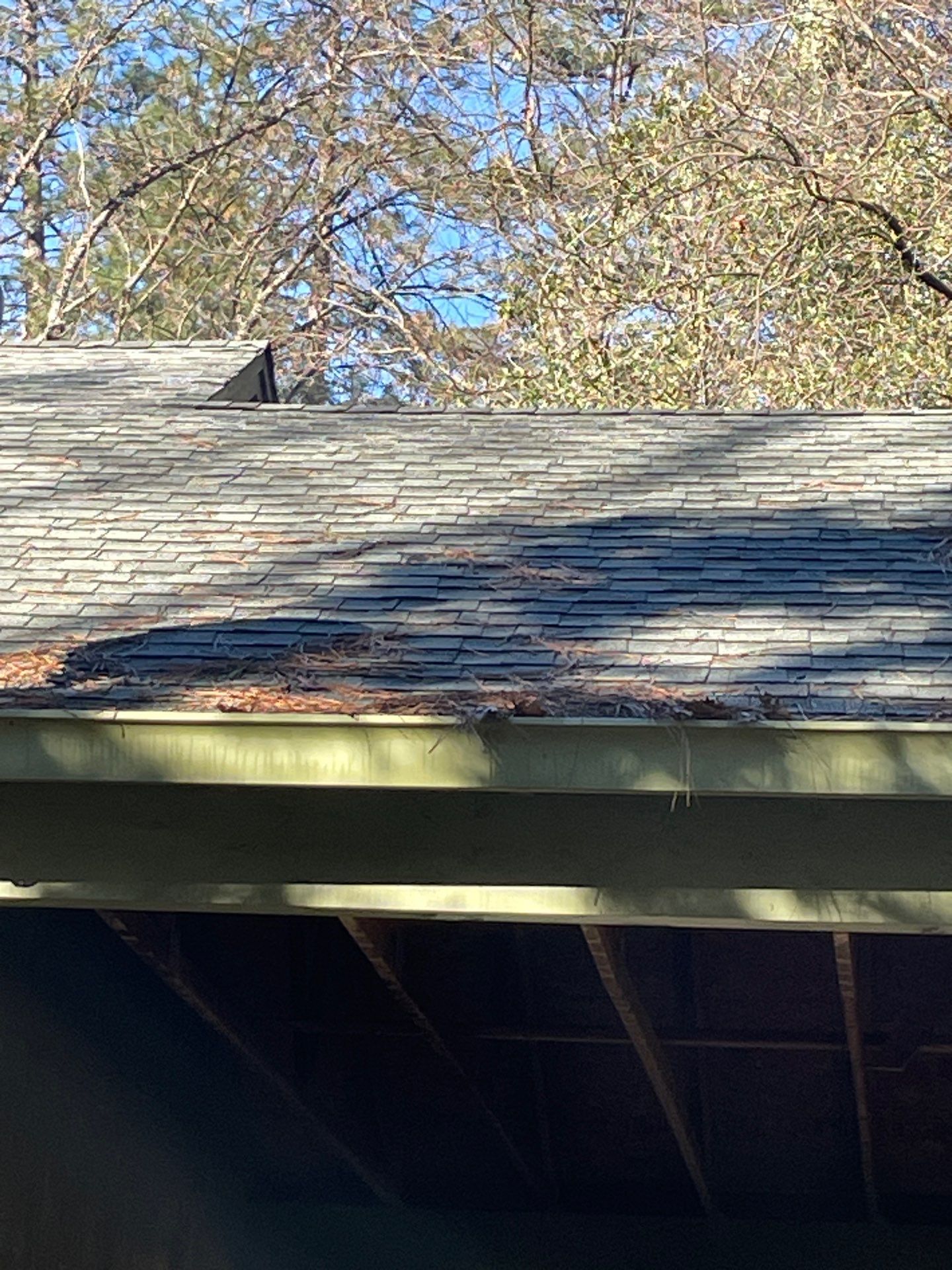 Roof Rejuvenation using Roof Maxx Treatment by Roof Maxx of Folsom