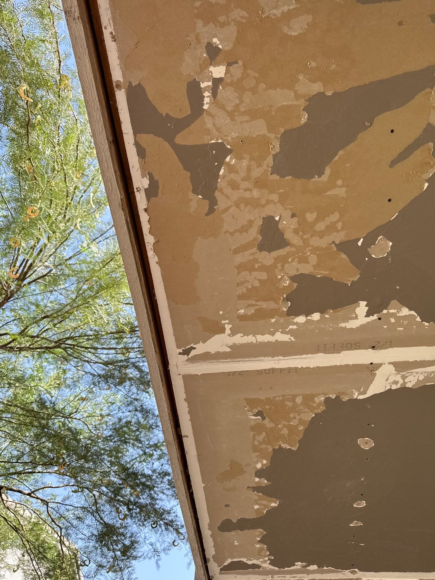 Exterior Painting - Chandler by Crash of Rhinos Painting & Garage Floors