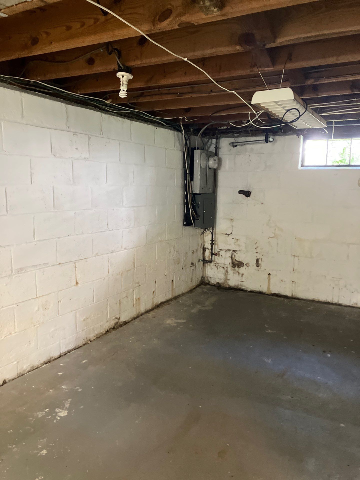 Utility Basement Mold Remediation and Sanitation Corner Case Study by Right On Time Restoration
