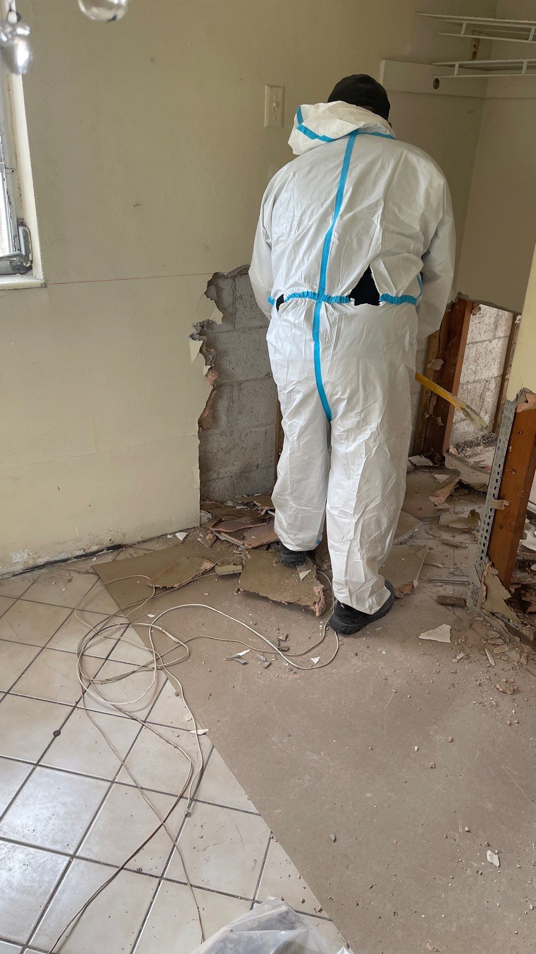 Mold Remediation  by THE RAPID TEAM