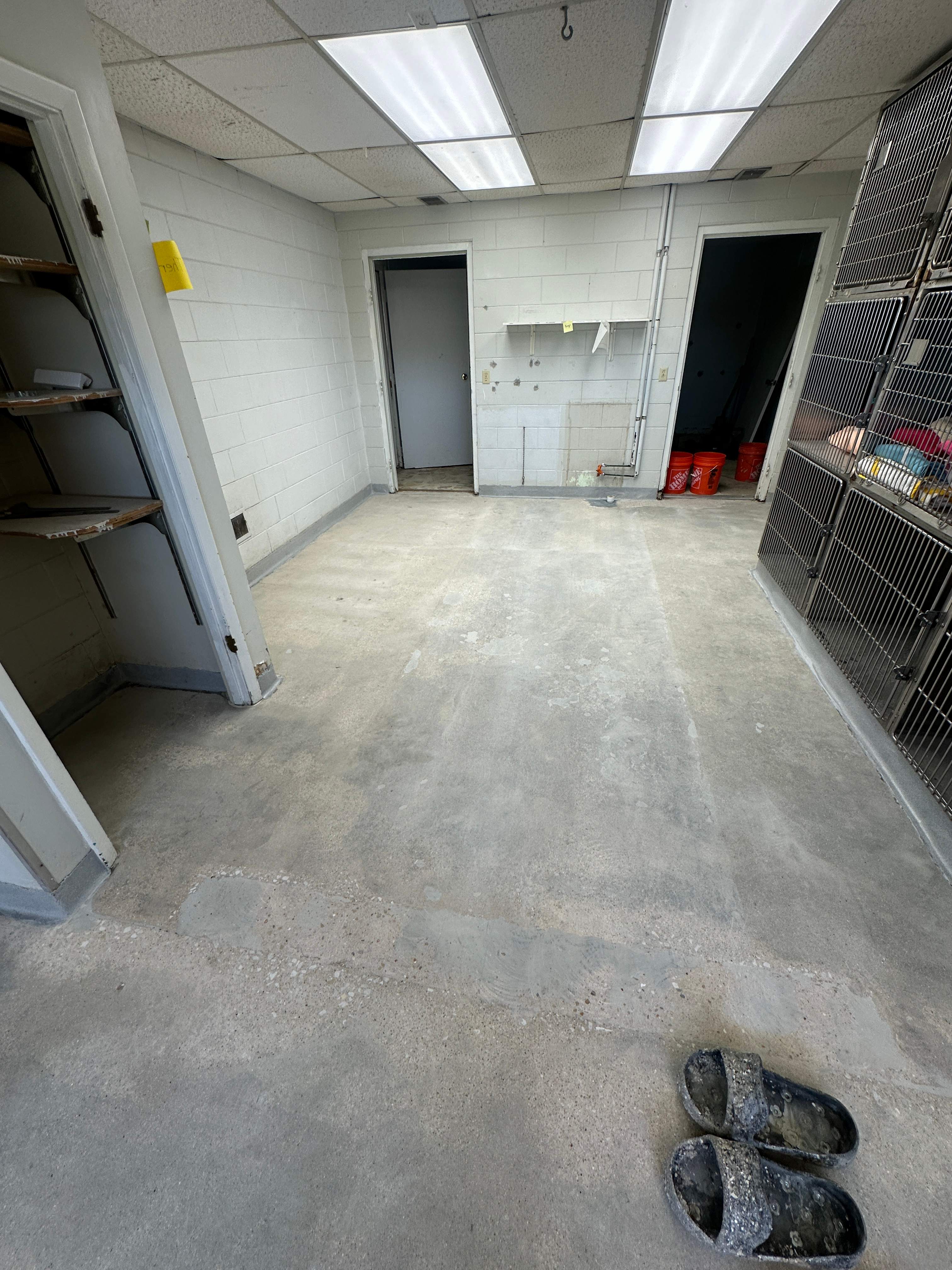 Steamboat Canine Shelter Normal by Loud Bros