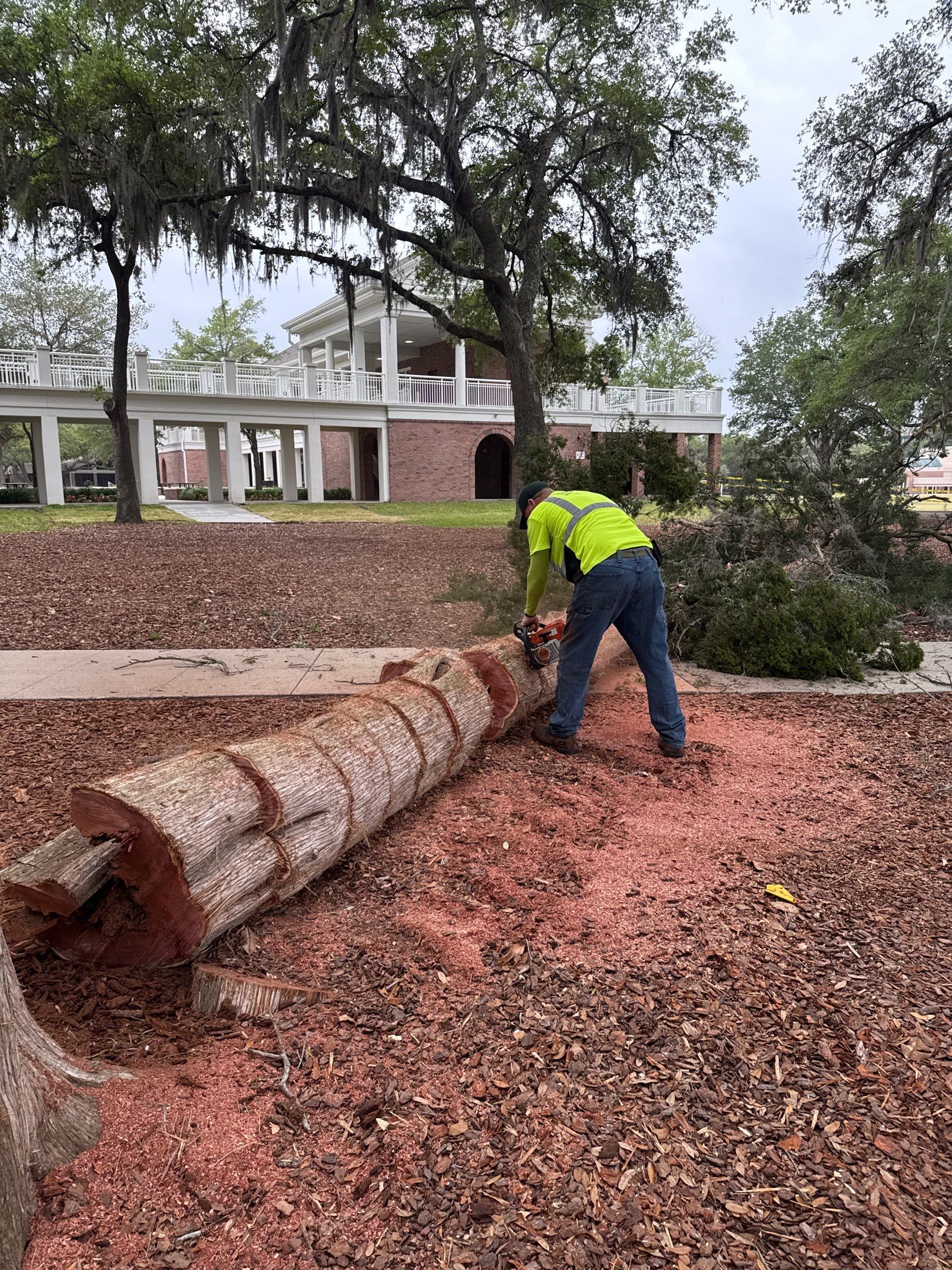 Episcopal School of Jacksonville | Tree Service by ProGreen Services