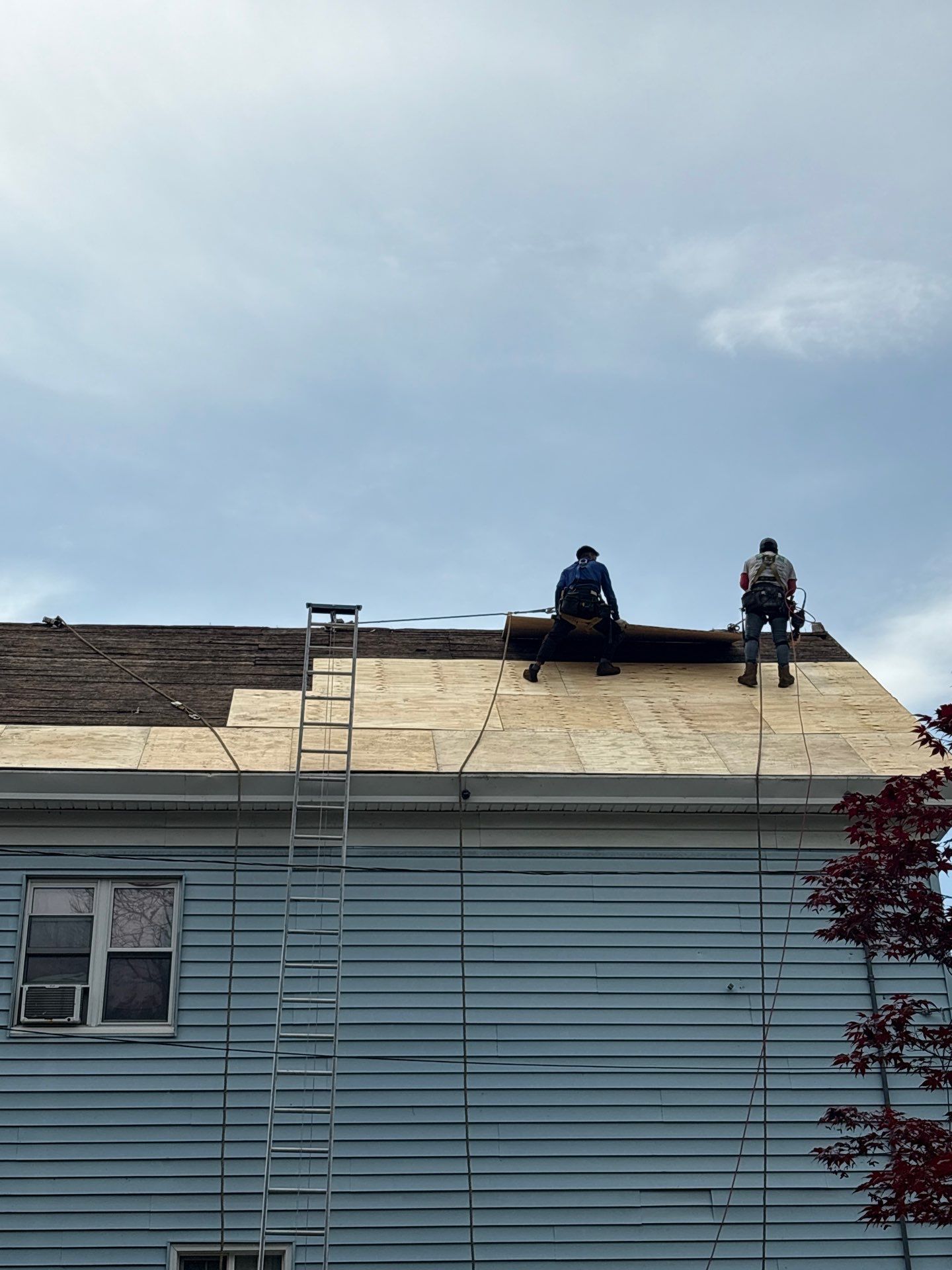 Roof Replacement in Methuen, MA by Mighty Dog Roofing of Greater Middlesex County