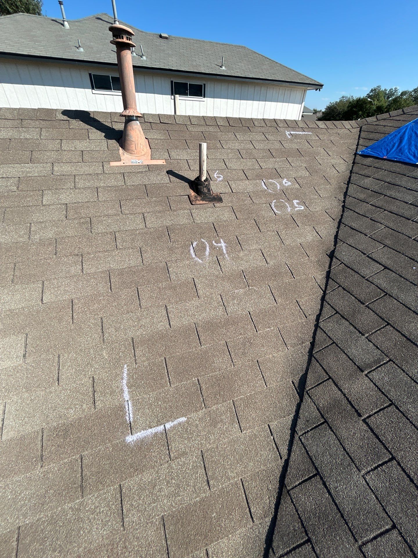 Miss Bridgette by REPS Austin Area Roofer
