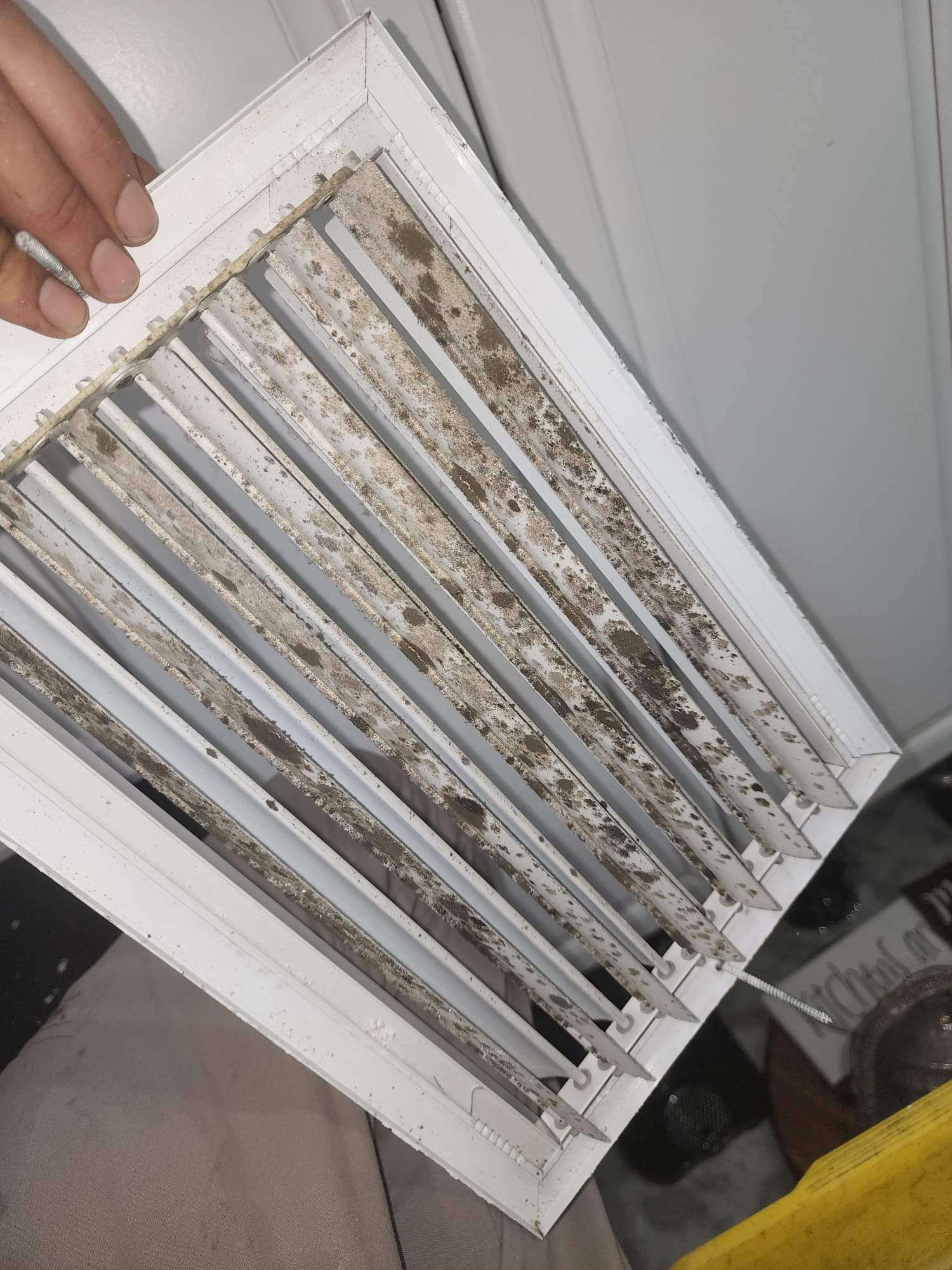 Holmes Beach AC Mold Deep Cleaning by Ampm Restoration Services 