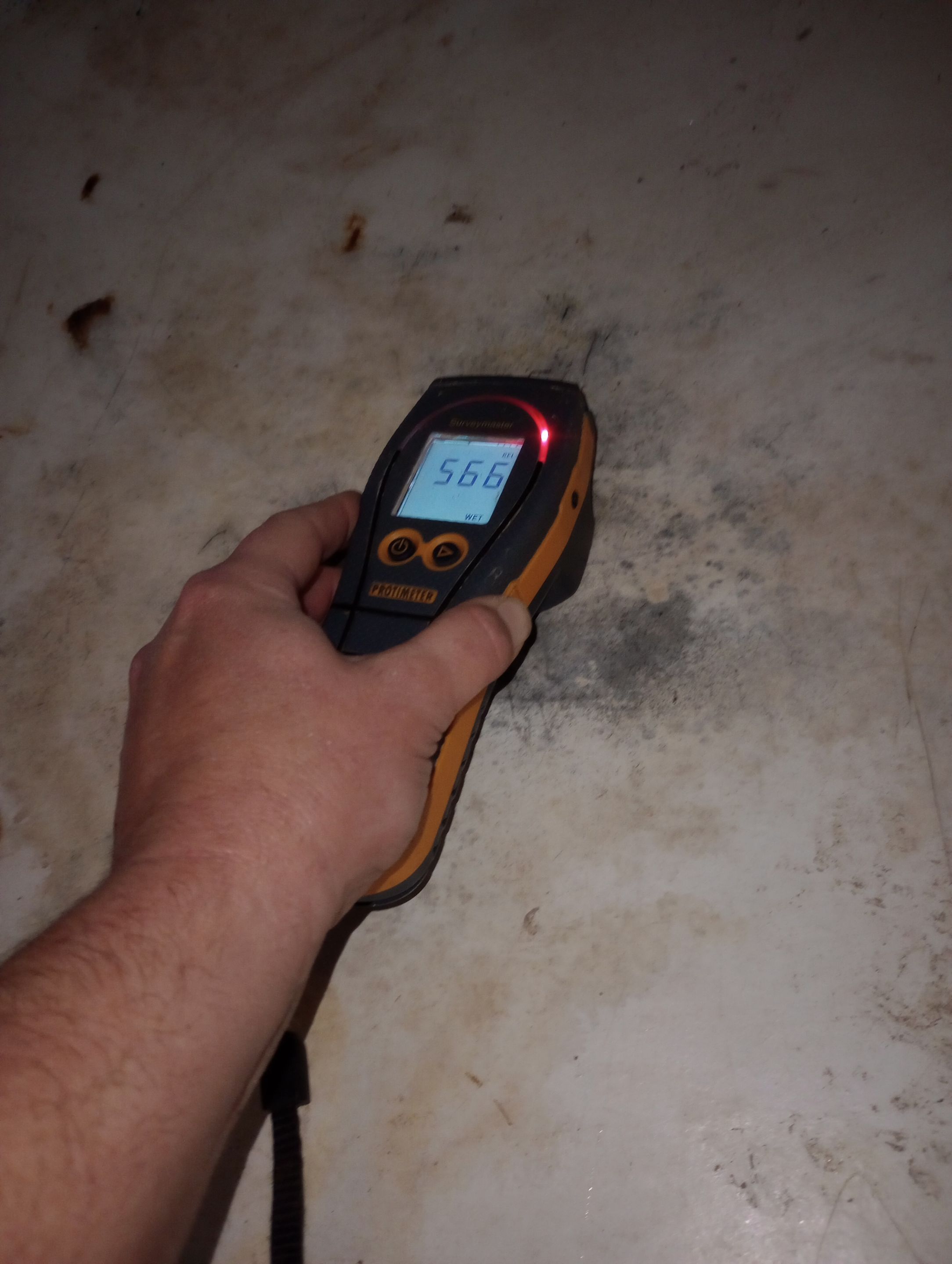 Mold Removal and Repairs in Louisville, KY by ANR Restoration