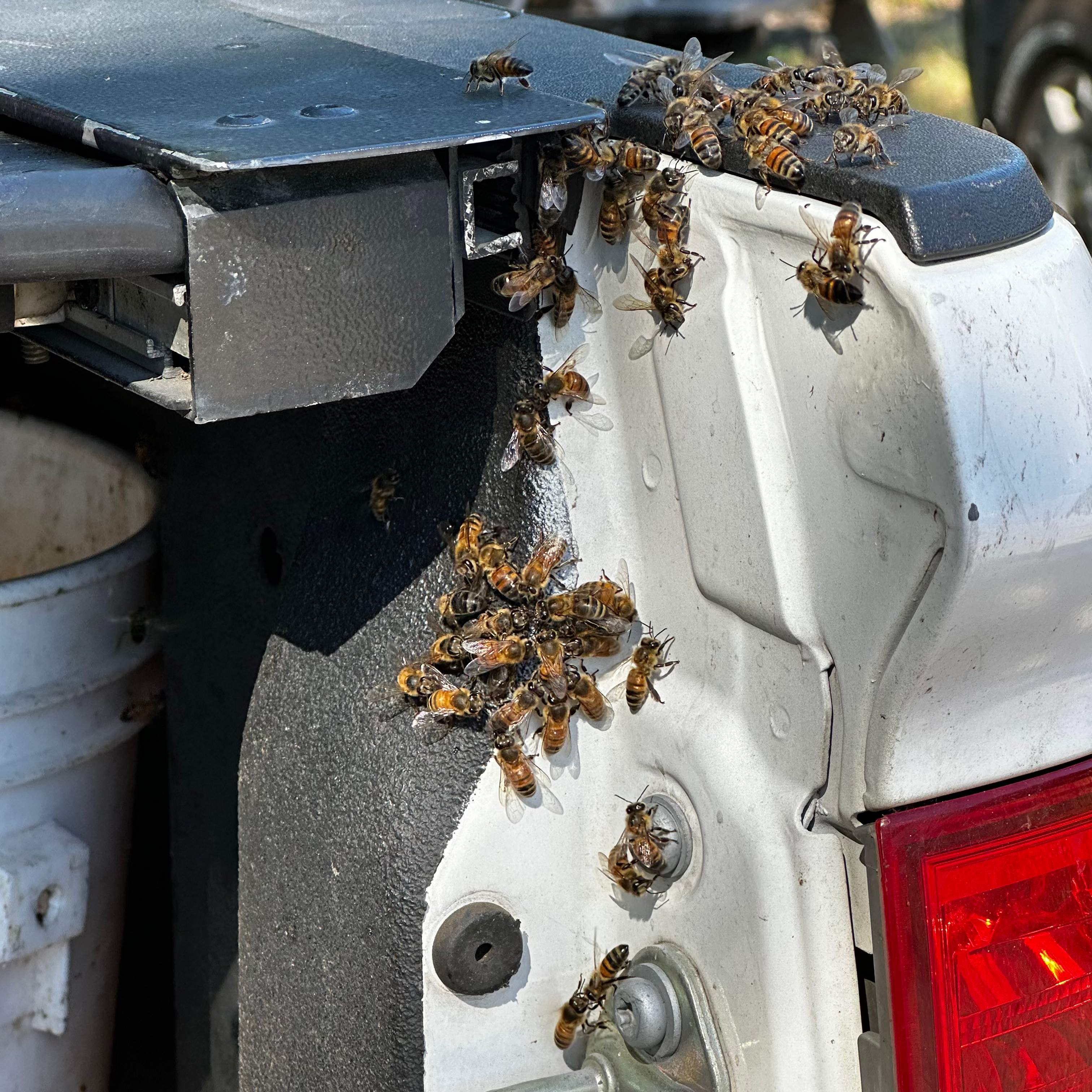 Copper Roof by Rockwall Honey Bee Company