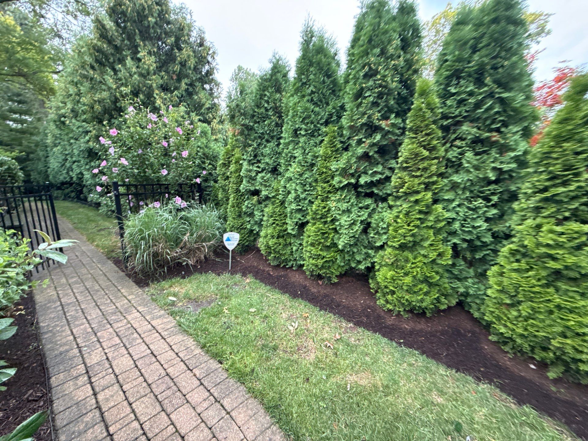 Christopher B. - Glenview, IL by A&N