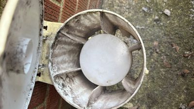 Dryer Vent Cleaning in Squirrel Hill, PA