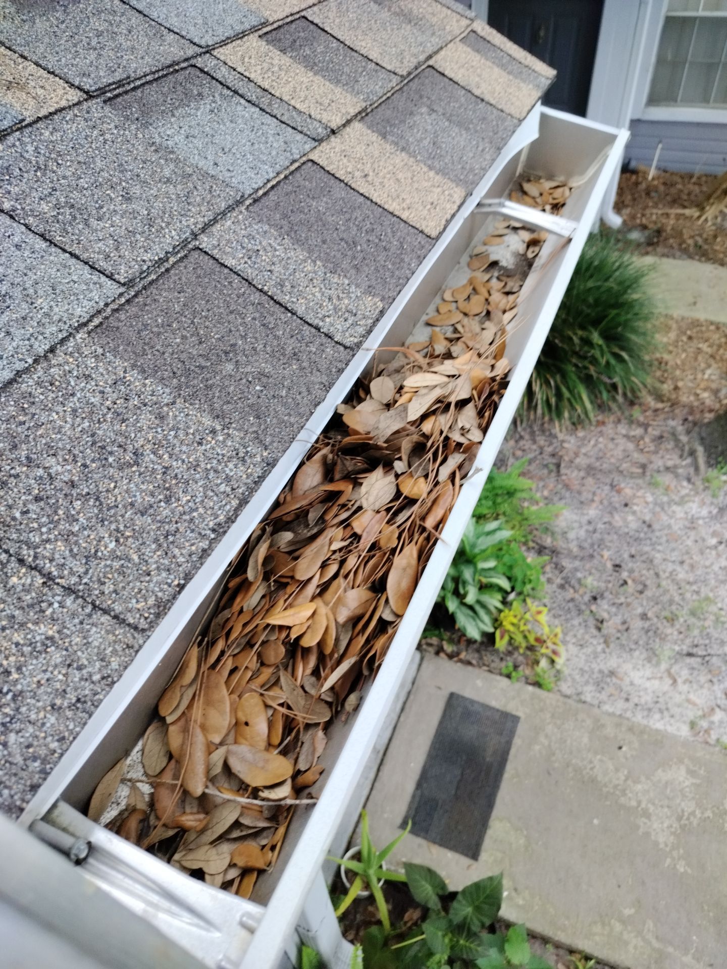 Commercial gutter cleaning Kissimmee & St. Cloud, FL before photo with filled gutters