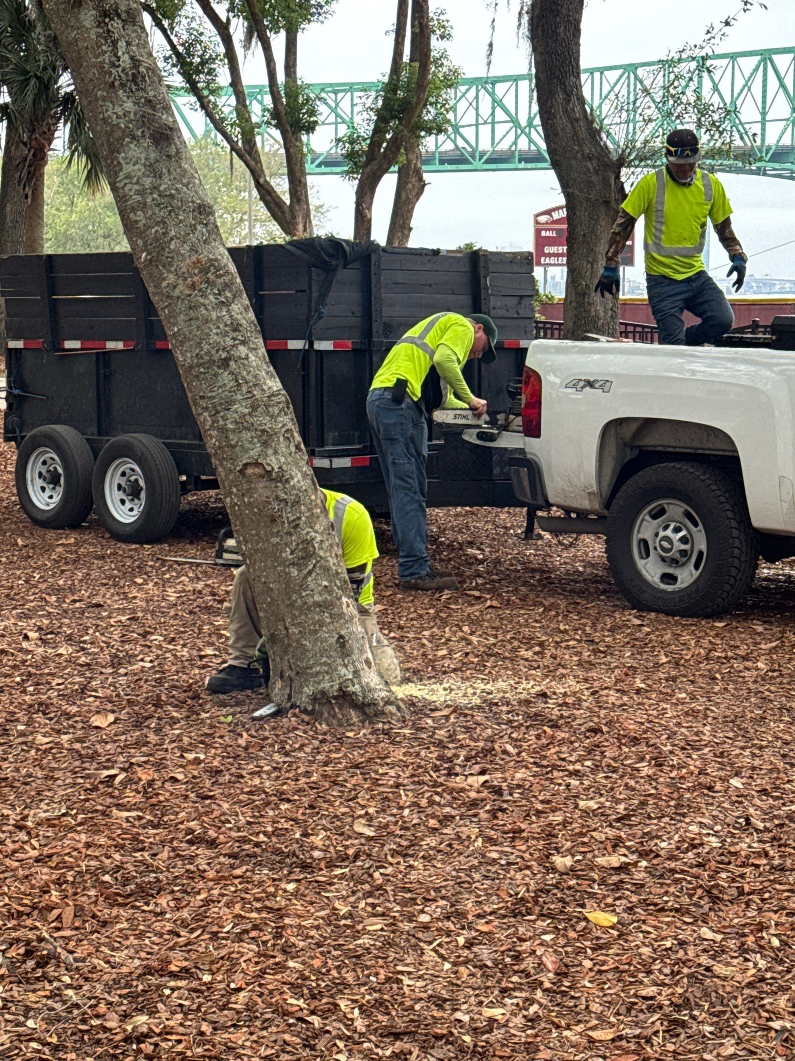 Episcopal School of Jacksonville | Tree Service by ProGreen Services