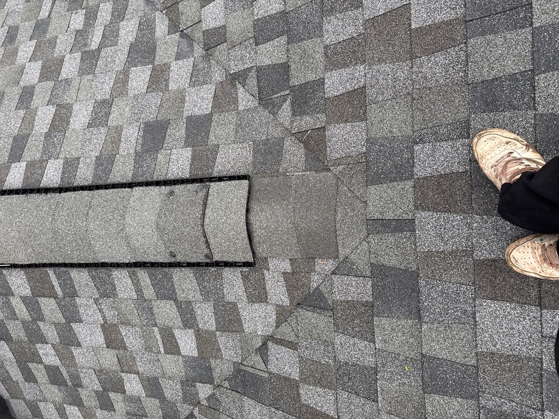 Alexandria: Residential Roof Replacement with GAF Timberline HDZ in Nantucket Morning by RM Banning, Inc.