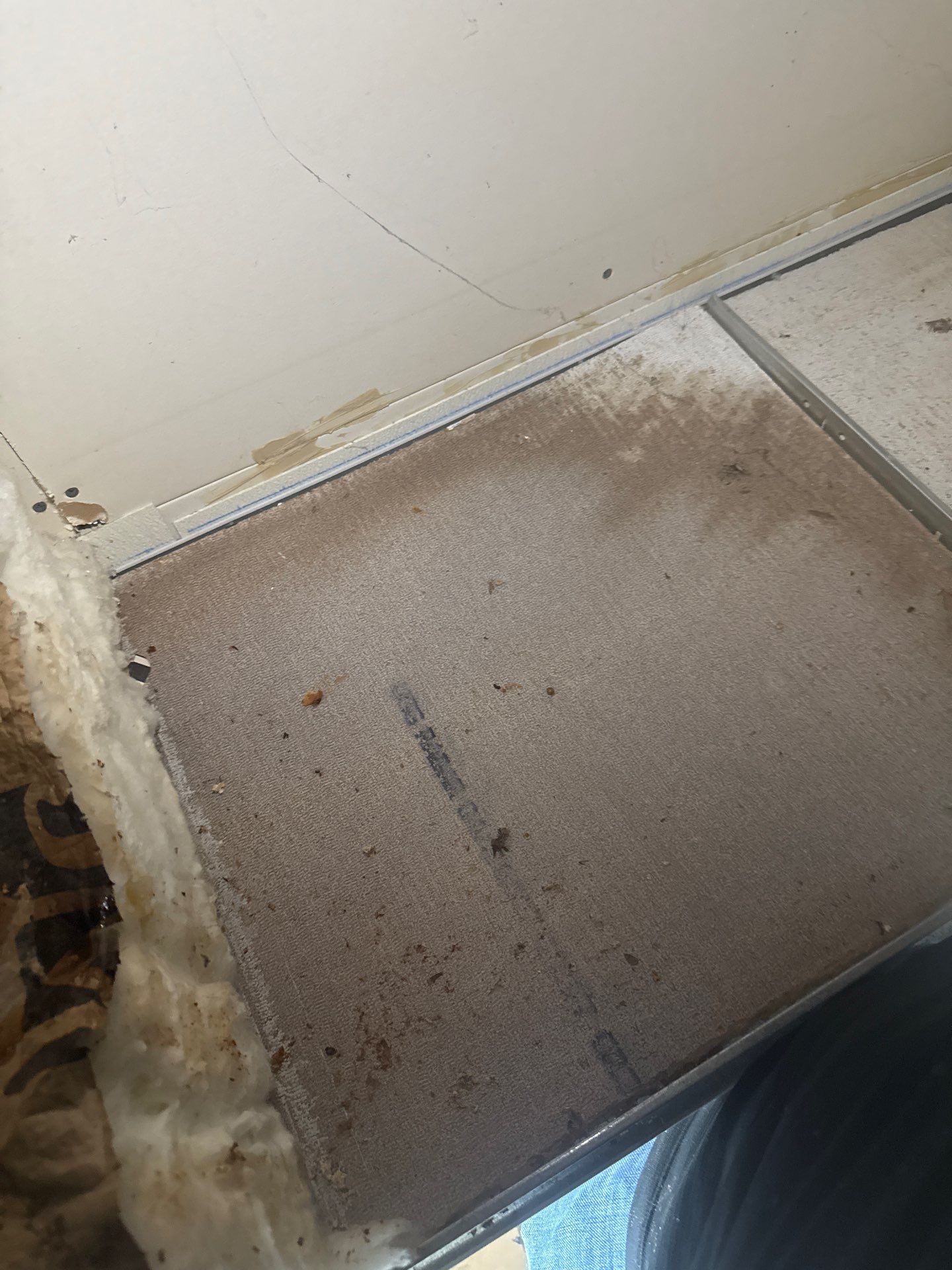 Roof Repair in Sylvania by NANOROOF Alabama
