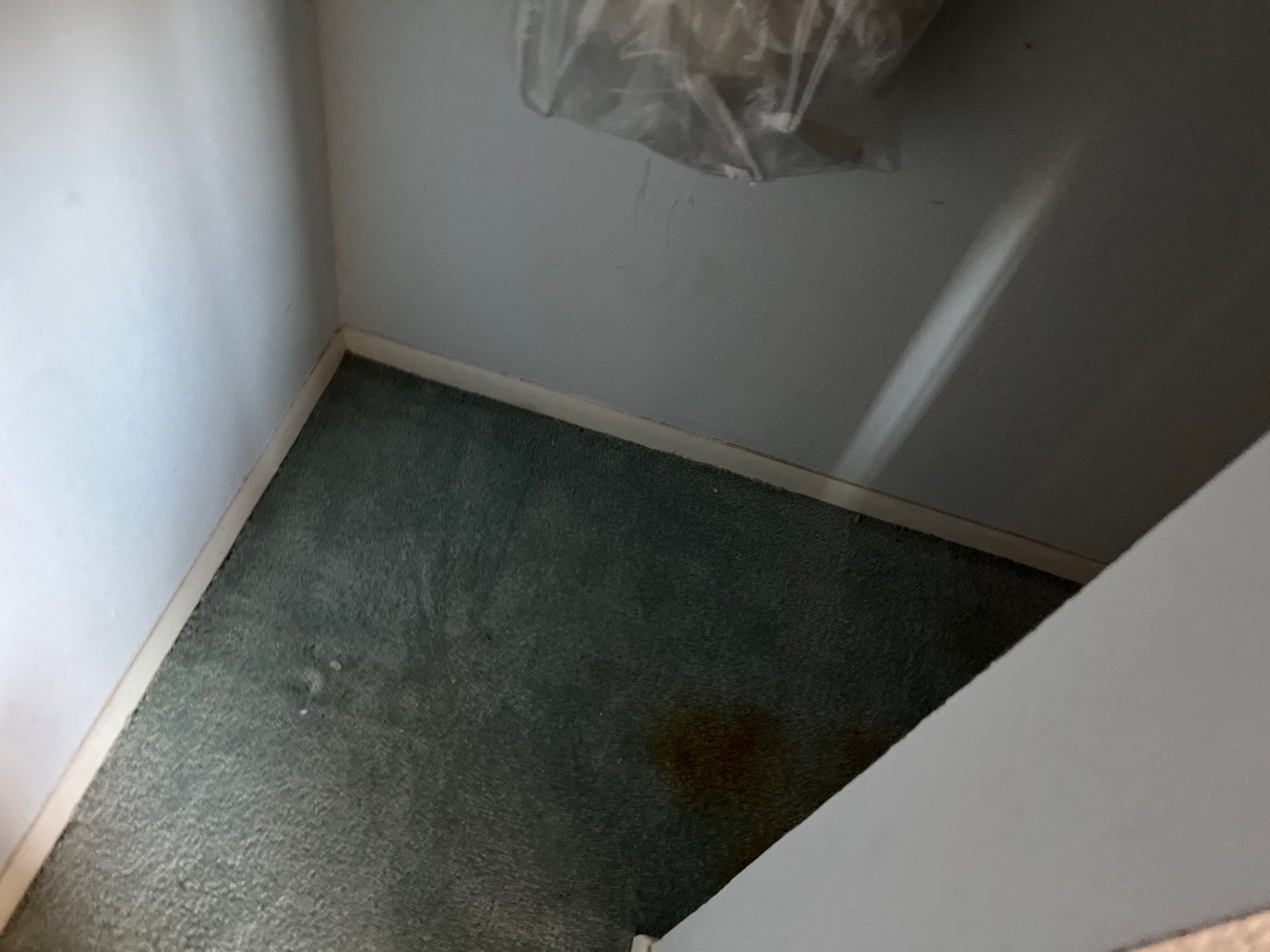 Tile by Vrmmm Flooring