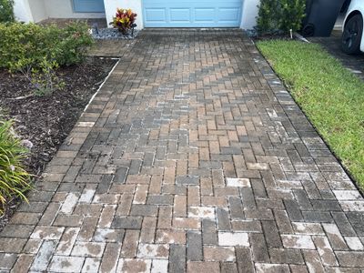 Paver Driveway & Sidewalk Cleaning in Trevesta – Palmetto, FL