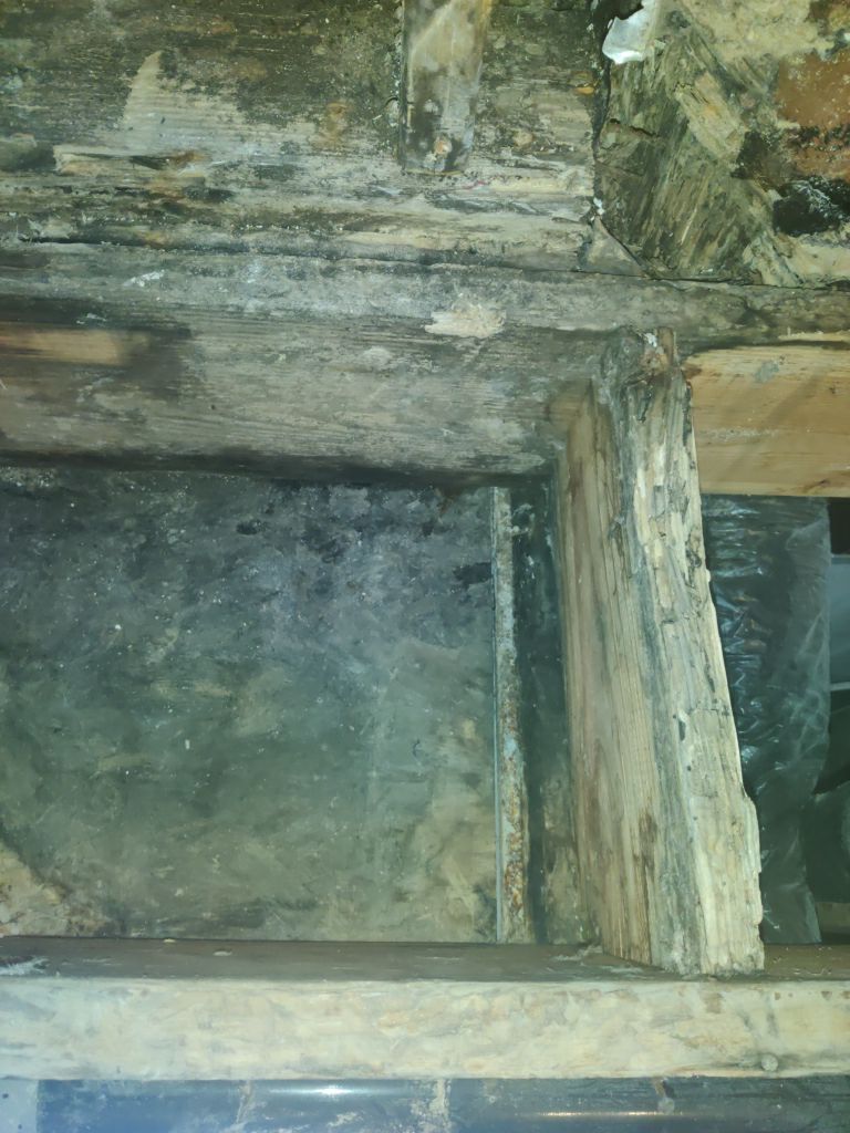 Mold Remediation in Bathroom by Accountable Home Services