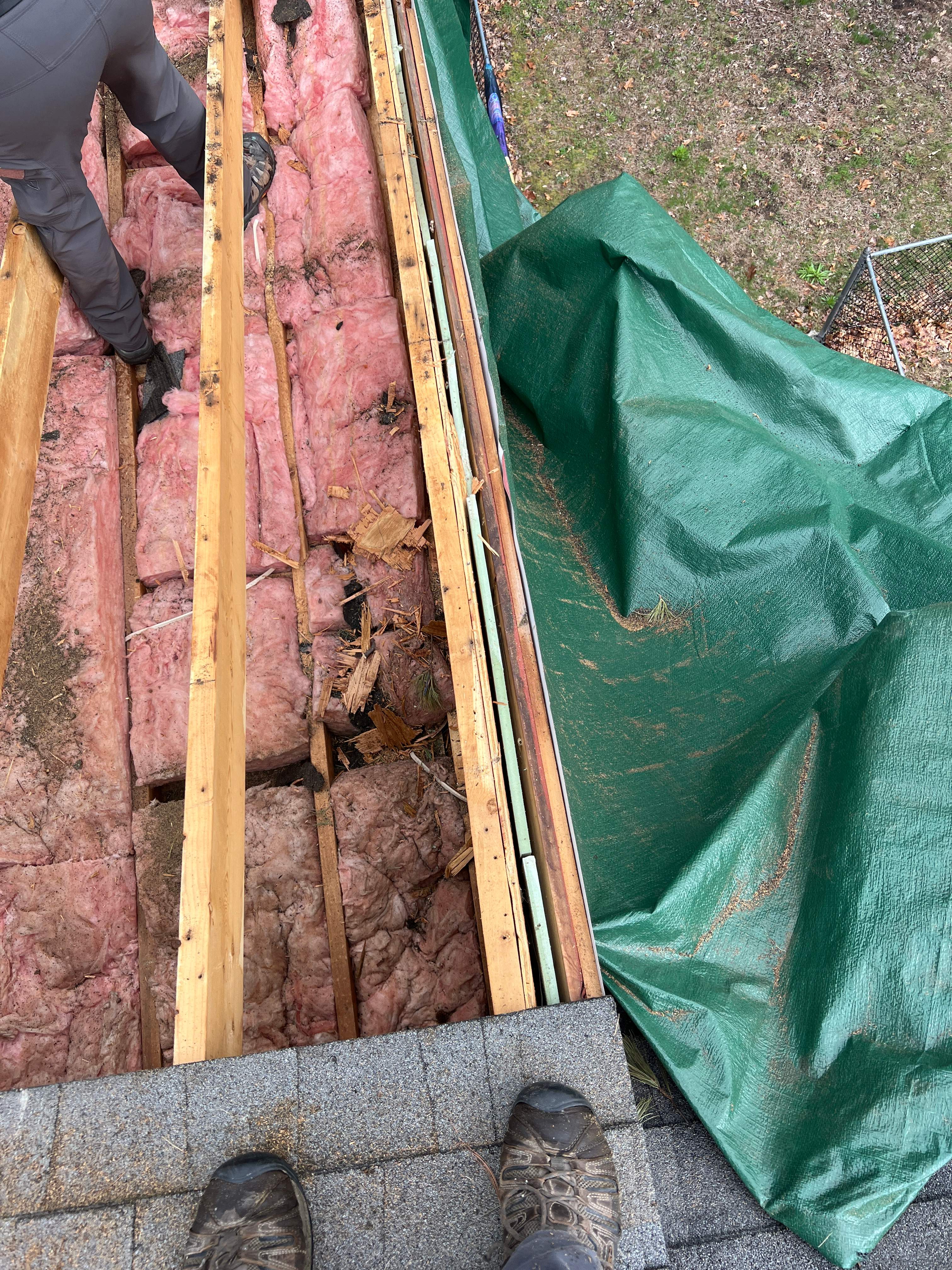 Tree Damage/Roof Repair by Chagnon Building & Remodeling LLC