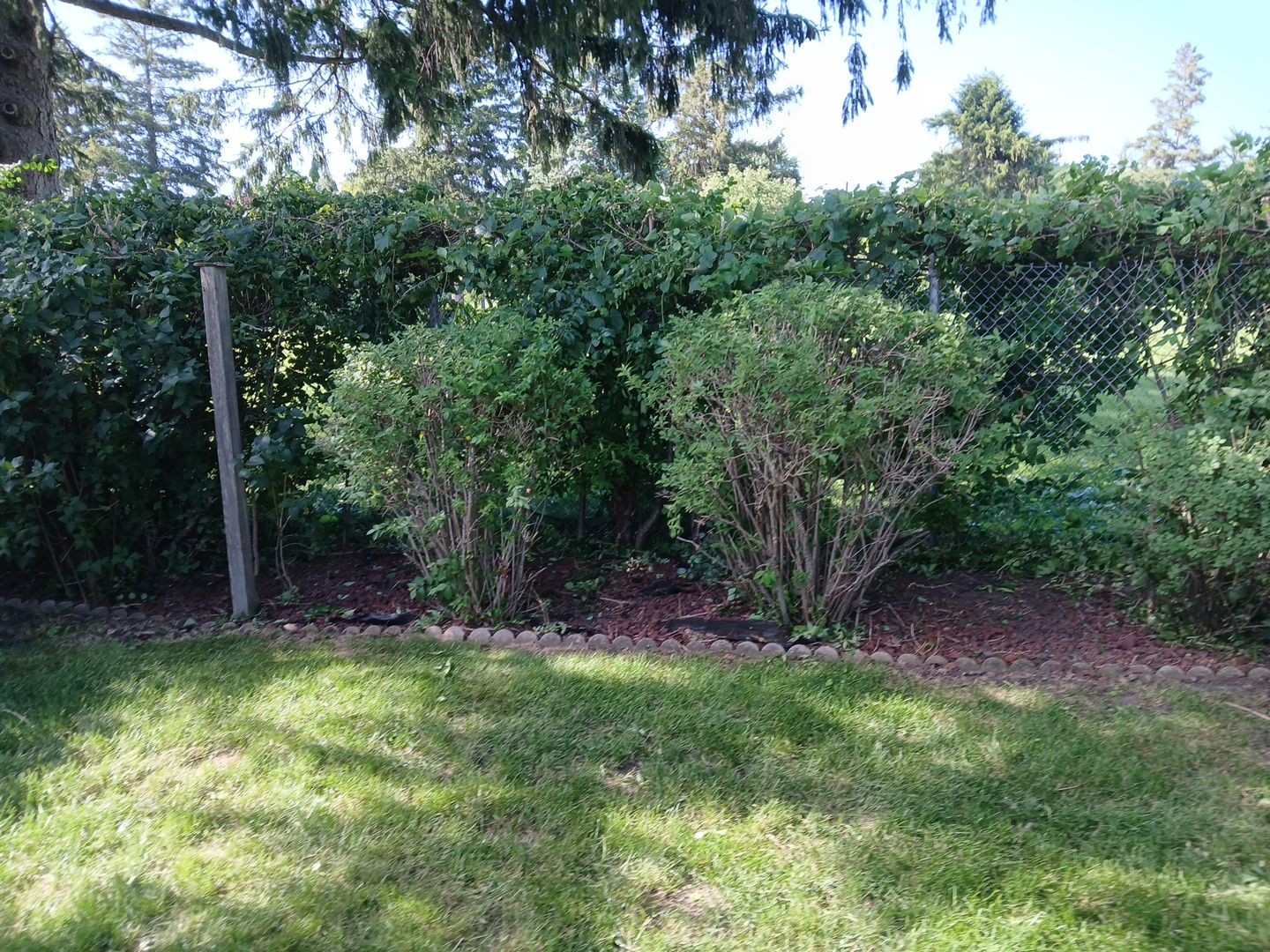 Andrew L. - Arlington Heights, IL by A&N