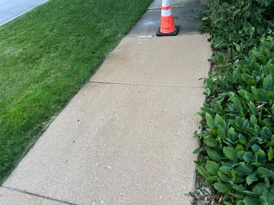 concrete cleaning using Algaecide, soft wash soap