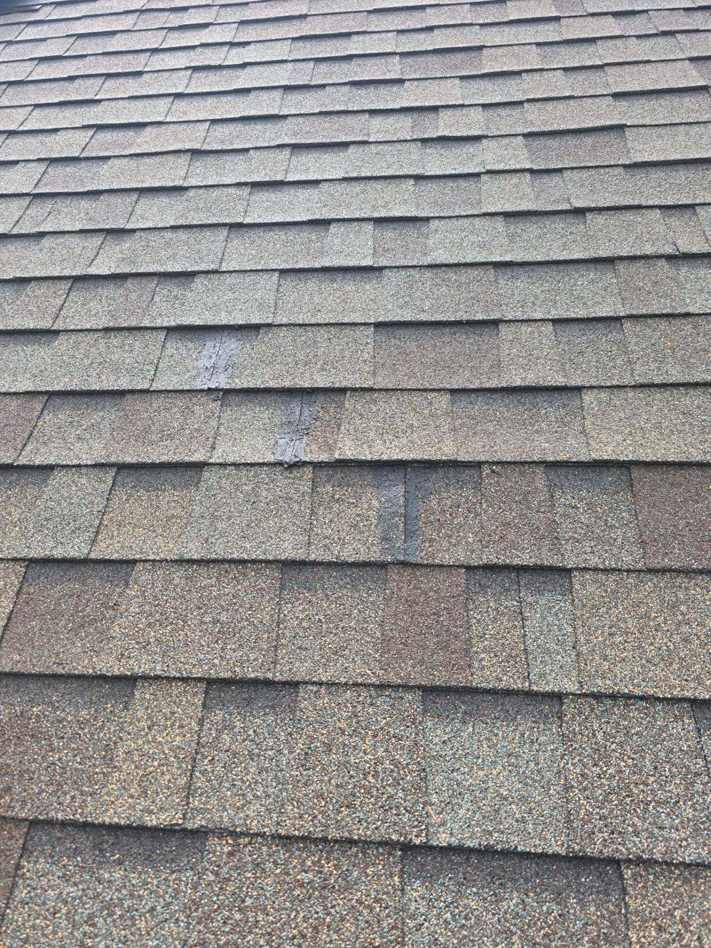 Project in Corvallis by Alamo Roofing