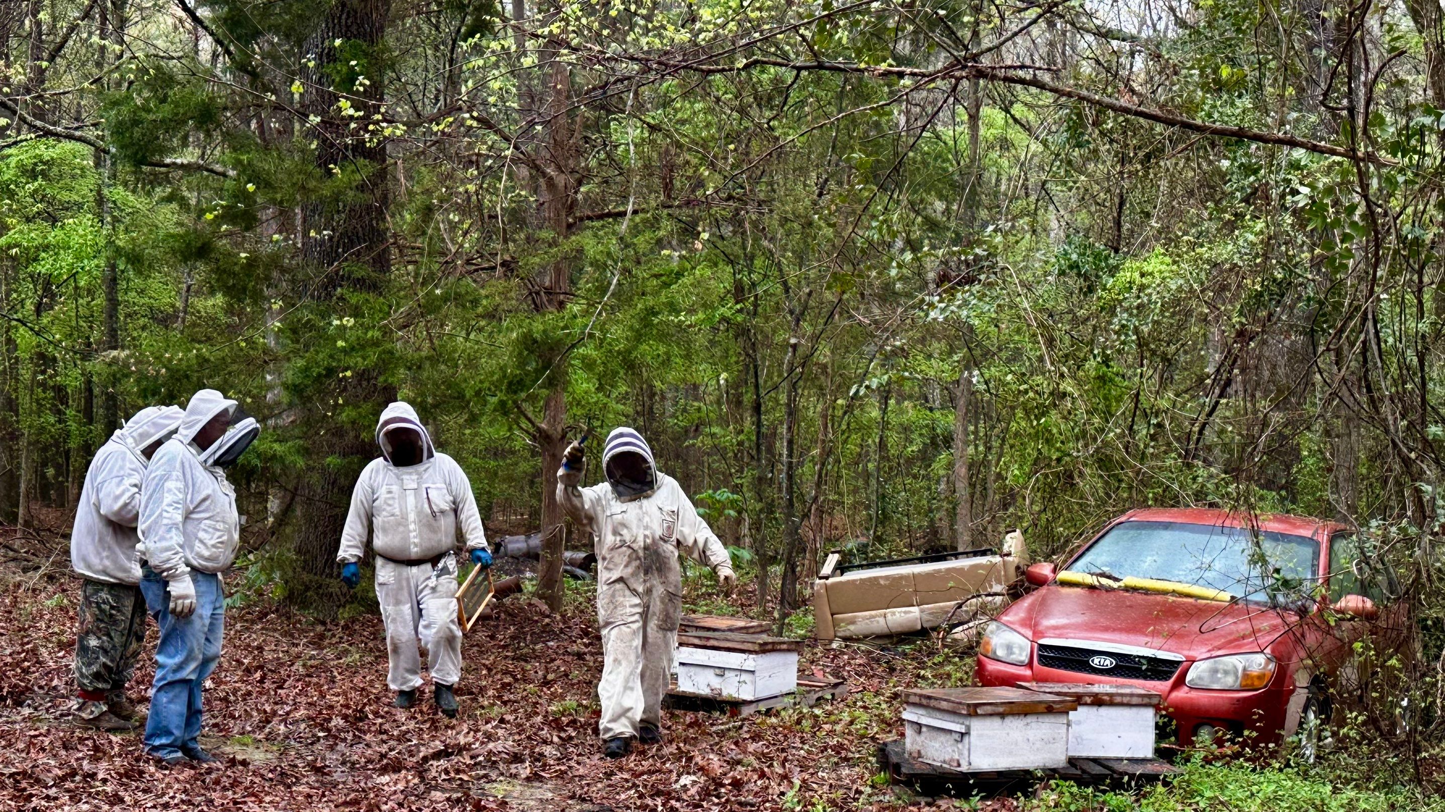 BeeGirl ETX HQ by Rockwall Honey Bee Company