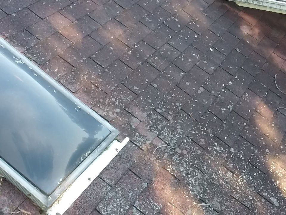 Project in Richmond by Roof Maxx of Midlothian